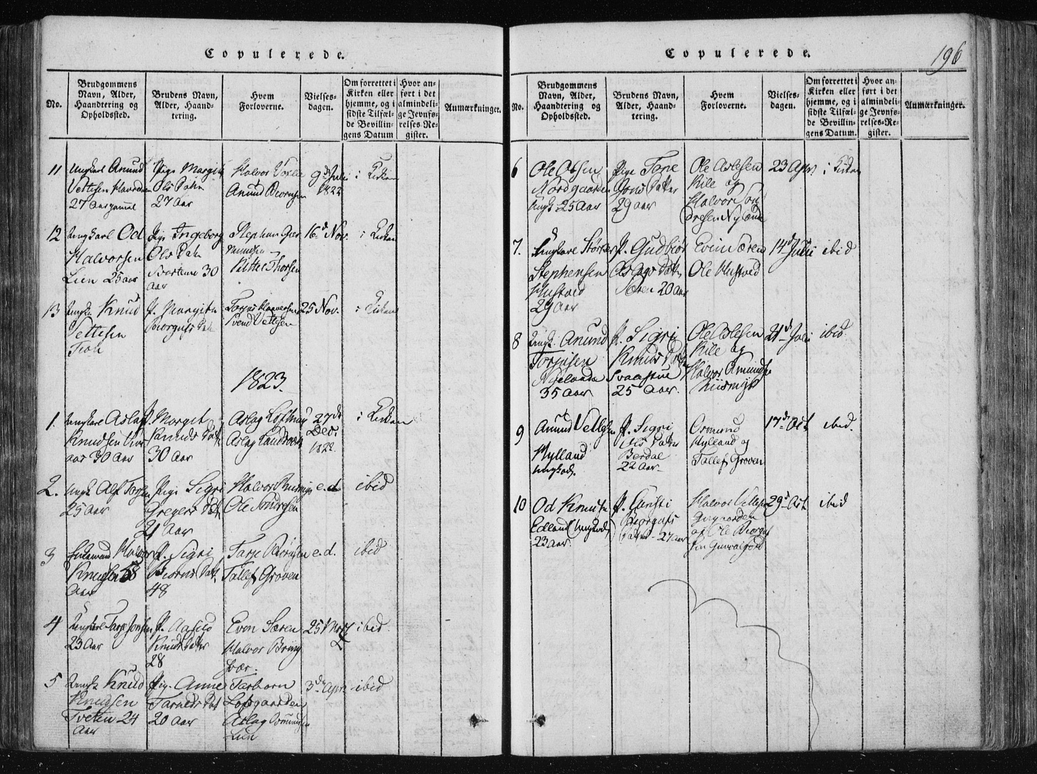 Vinje kirkebøker, SAKO/A-312/F/Fa/L0003: Parish register (official) no. I 3, 1814-1843, p. 196