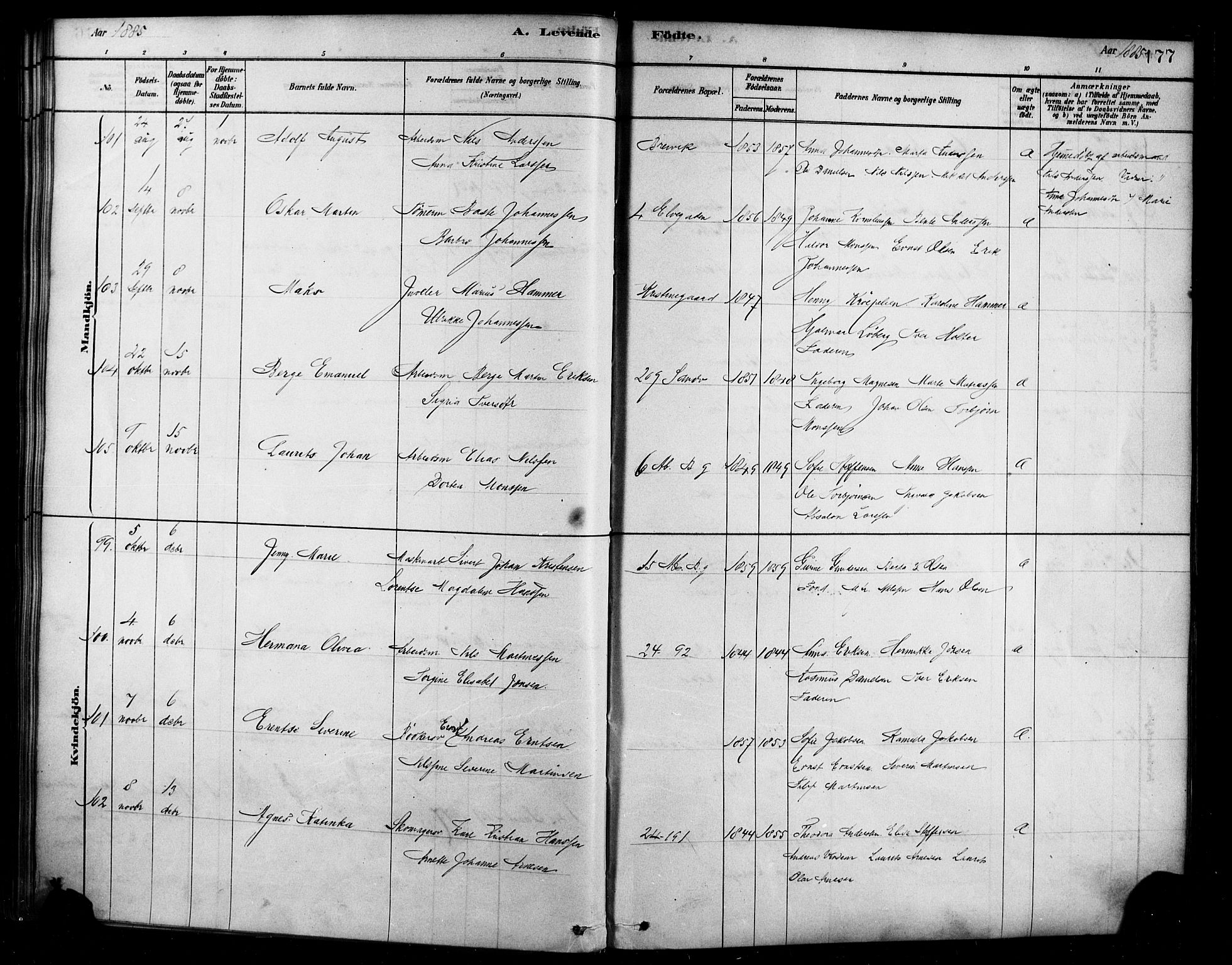 Sandviken Sokneprestembete, AV/SAB-A-77601/H/Ha/L0004: Parish register (official) no. B 1, 1878-1891, p. 177