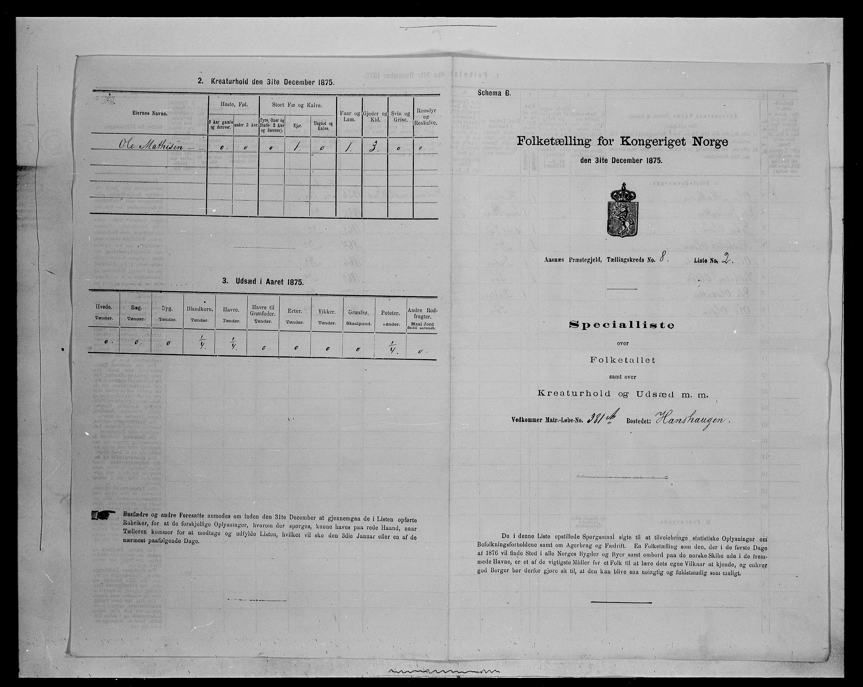 SAH, 1875 census for 0425P Åsnes, 1875, p. 1183