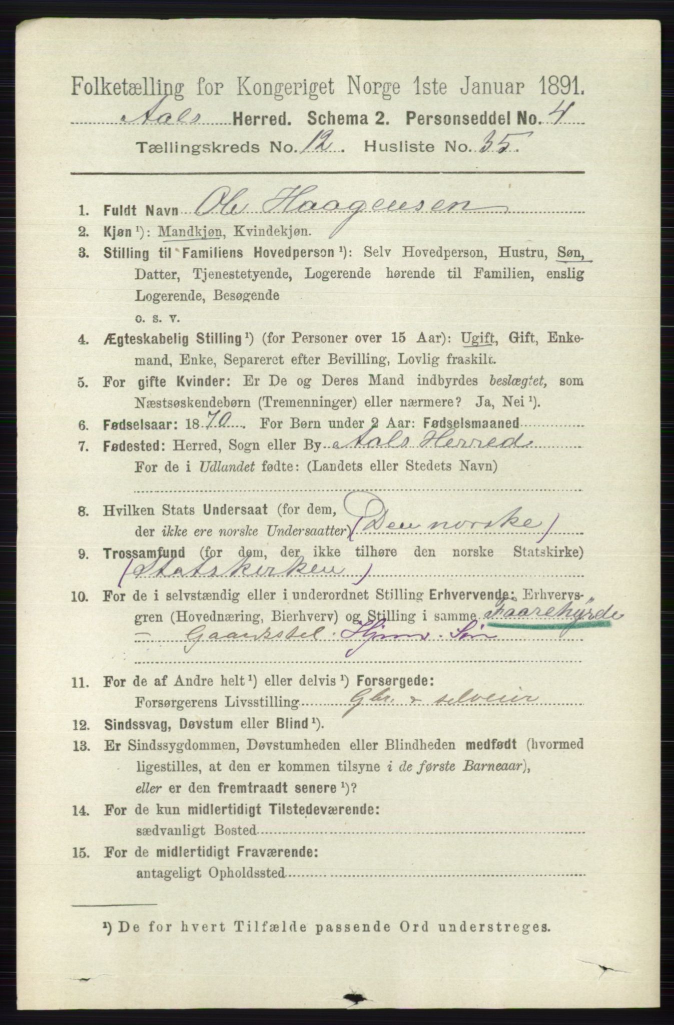 RA, 1891 census for 0619 Ål, 1891, p. 3208