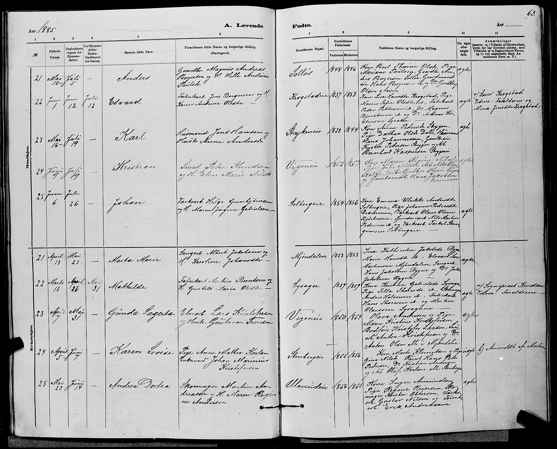 Nedre Eiker kirkebøker, AV/SAKO-A-612/G/Ga/L0002: Parish register (copy) no. 2, 1880-1896, p. 63