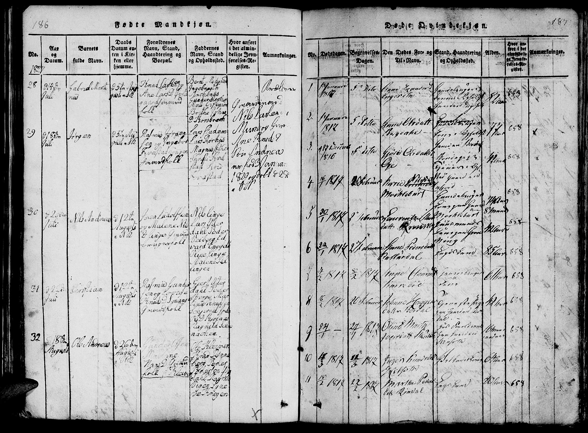 Ministerialprotokoller, klokkerbøker og fødselsregistre - Møre og Romsdal, SAT/A-1454/519/L0260: Parish register (copy) no. 519C01, 1817-1829, p. 186-187