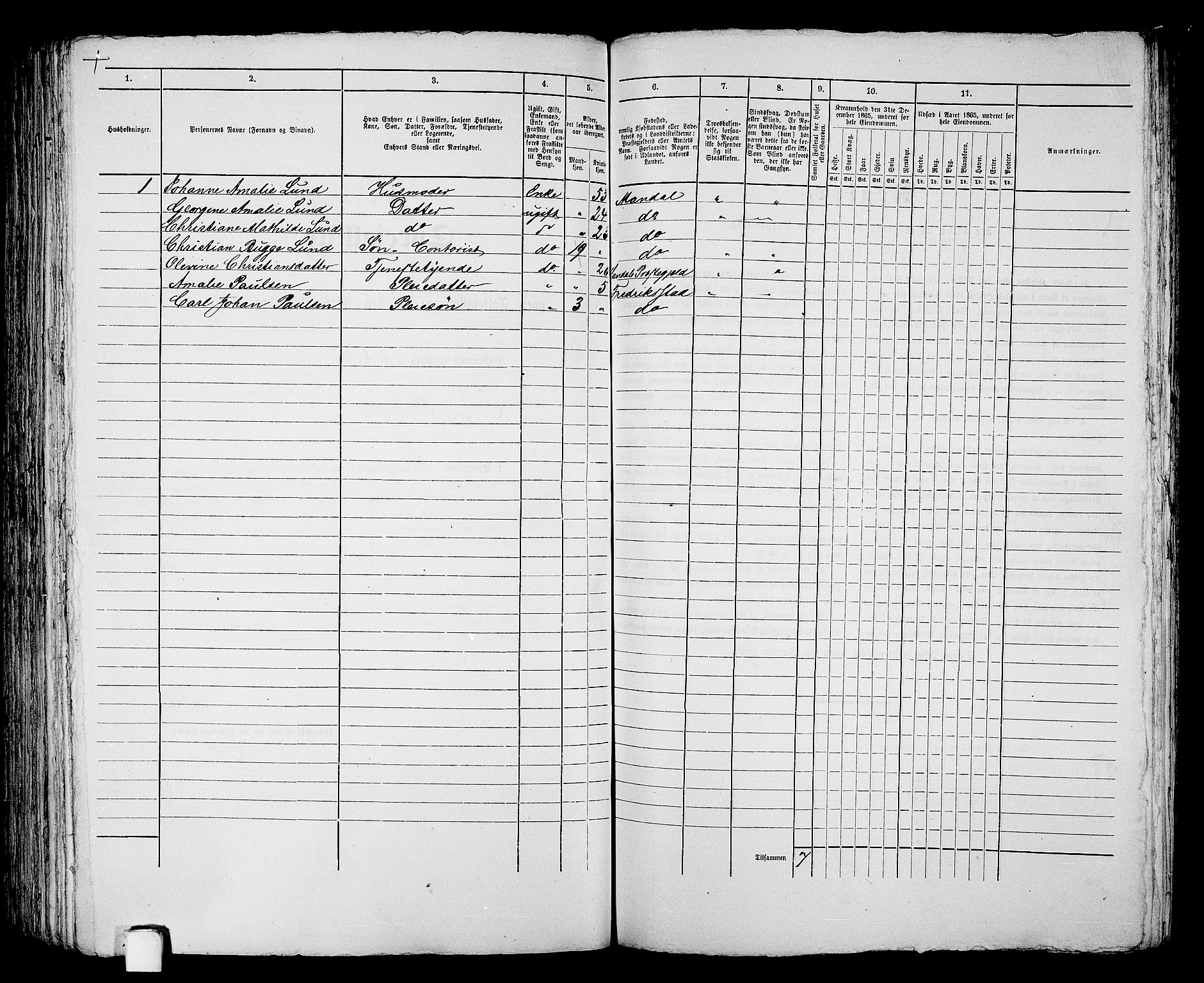 RA, 1865 census for Mandal/Mandal, 1865, p. 207
