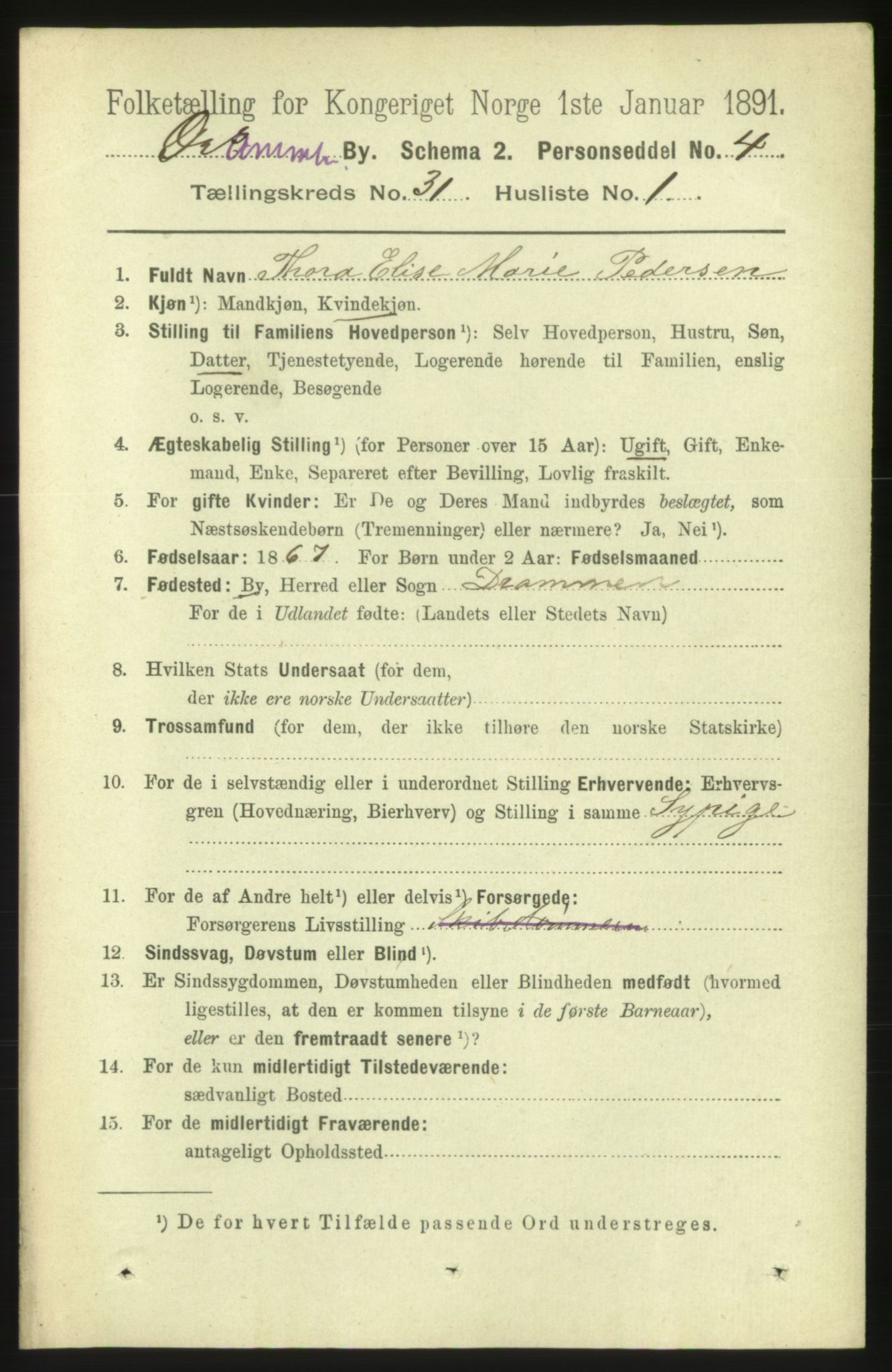 RA, 1891 census for 0602 Drammen, 1891, p. 18713