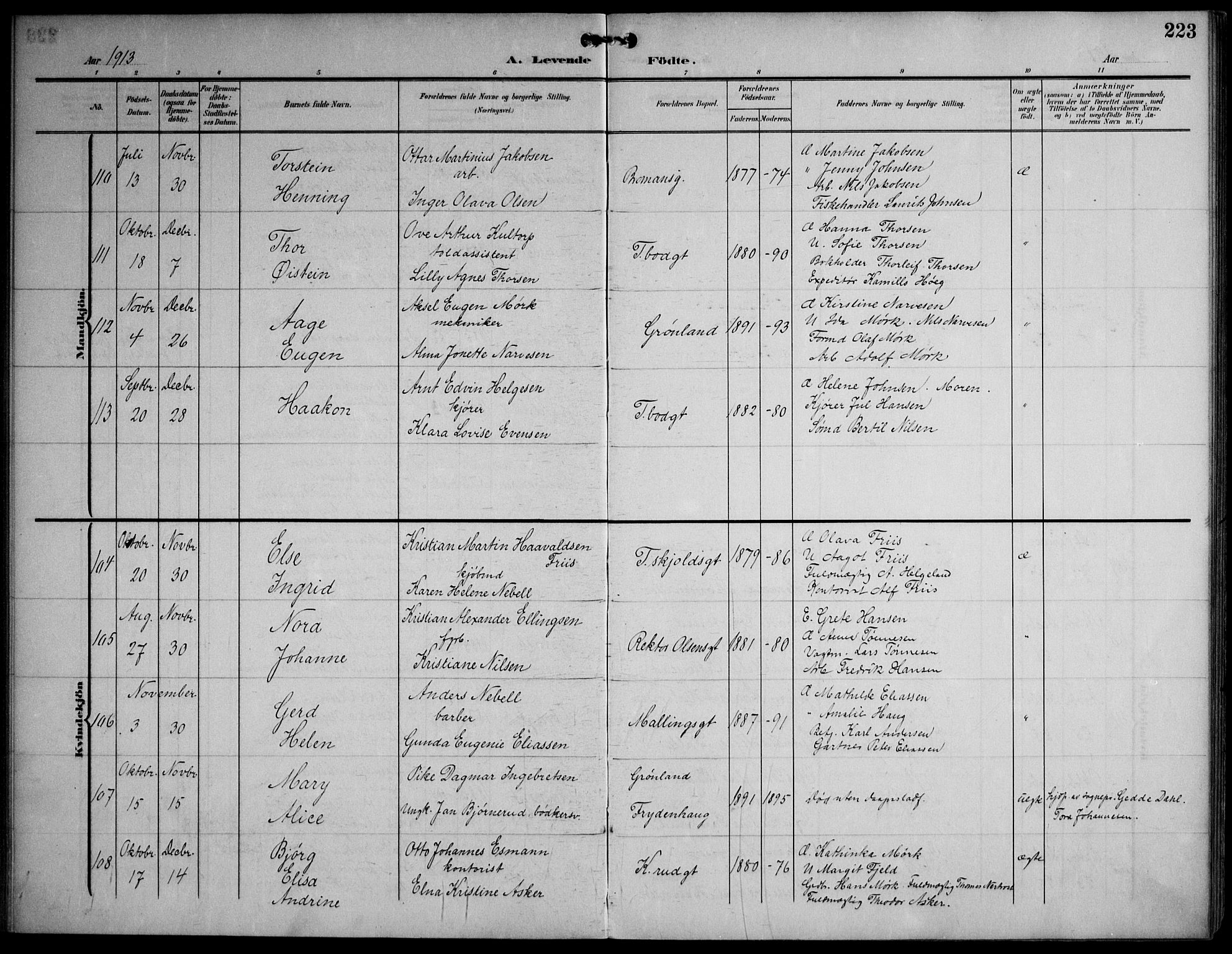 Strømsø kirkebøker, AV/SAKO-A-246/F/Fa/L0026: Parish register (official) no. I 26, 1905-1914, p. 223