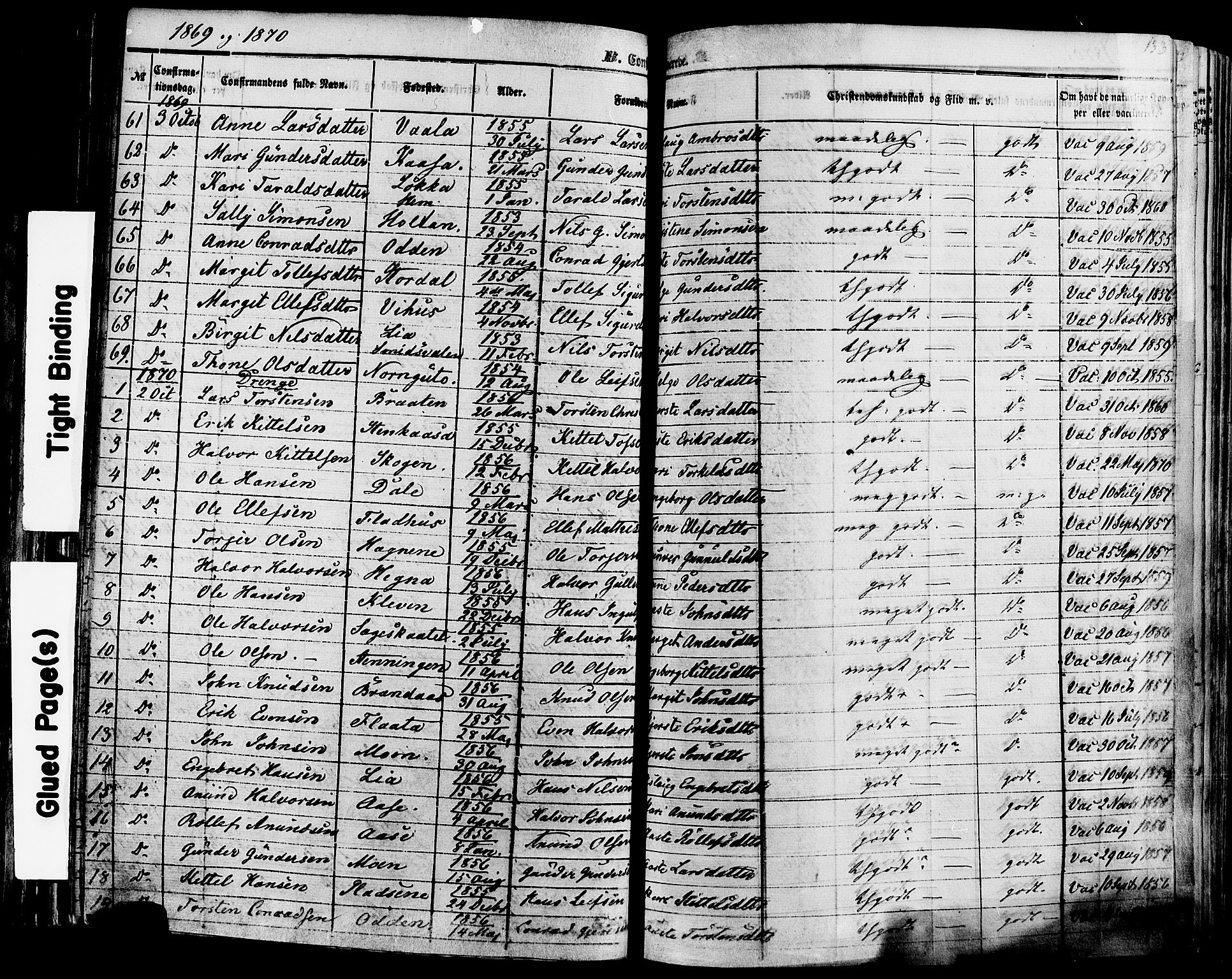 Sauherad kirkebøker, AV/SAKO-A-298/F/Fa/L0007: Parish register (official) no. I 7, 1851-1873, p. 133