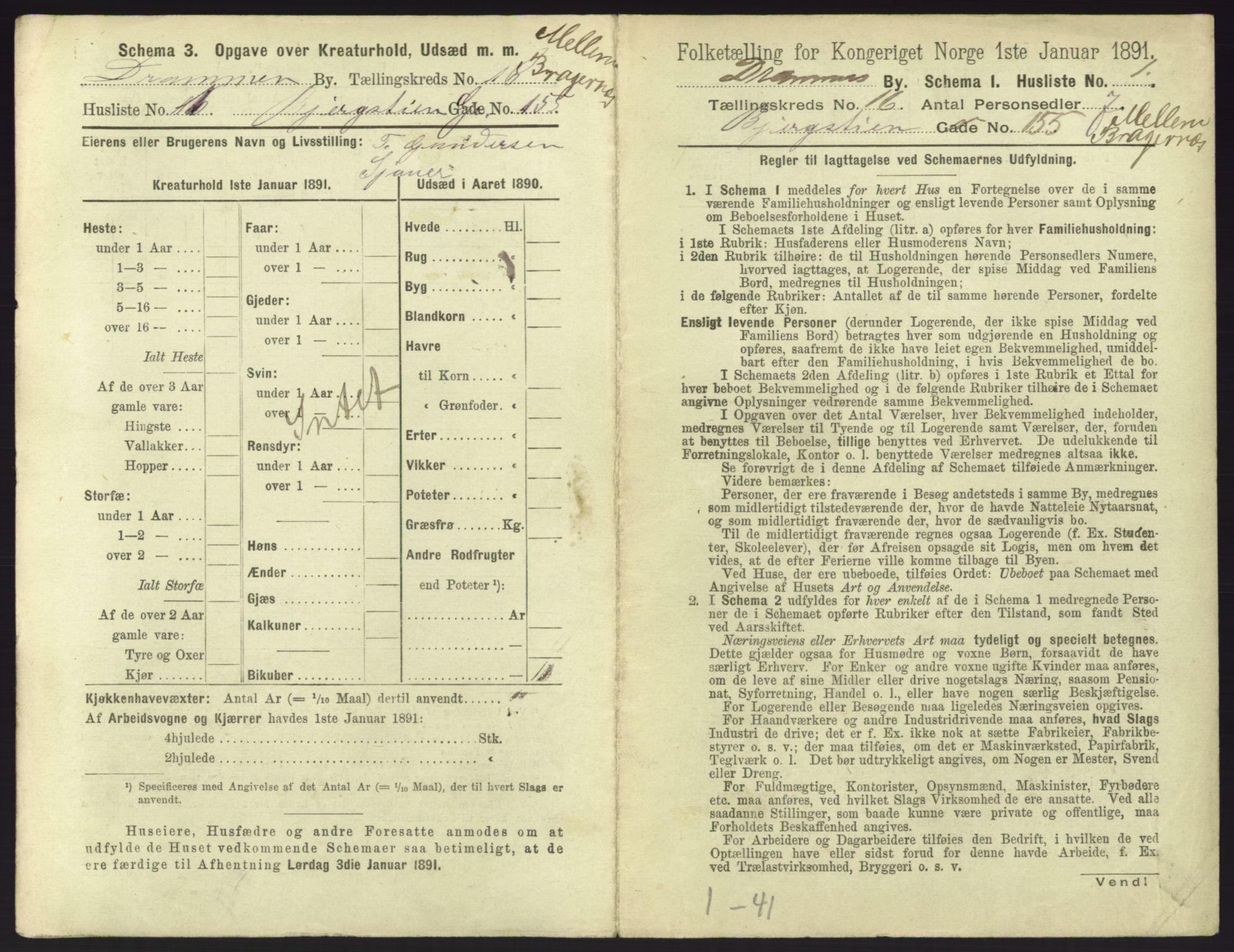 RA, 1891 census for 0602 Drammen, 1891, p. 1317