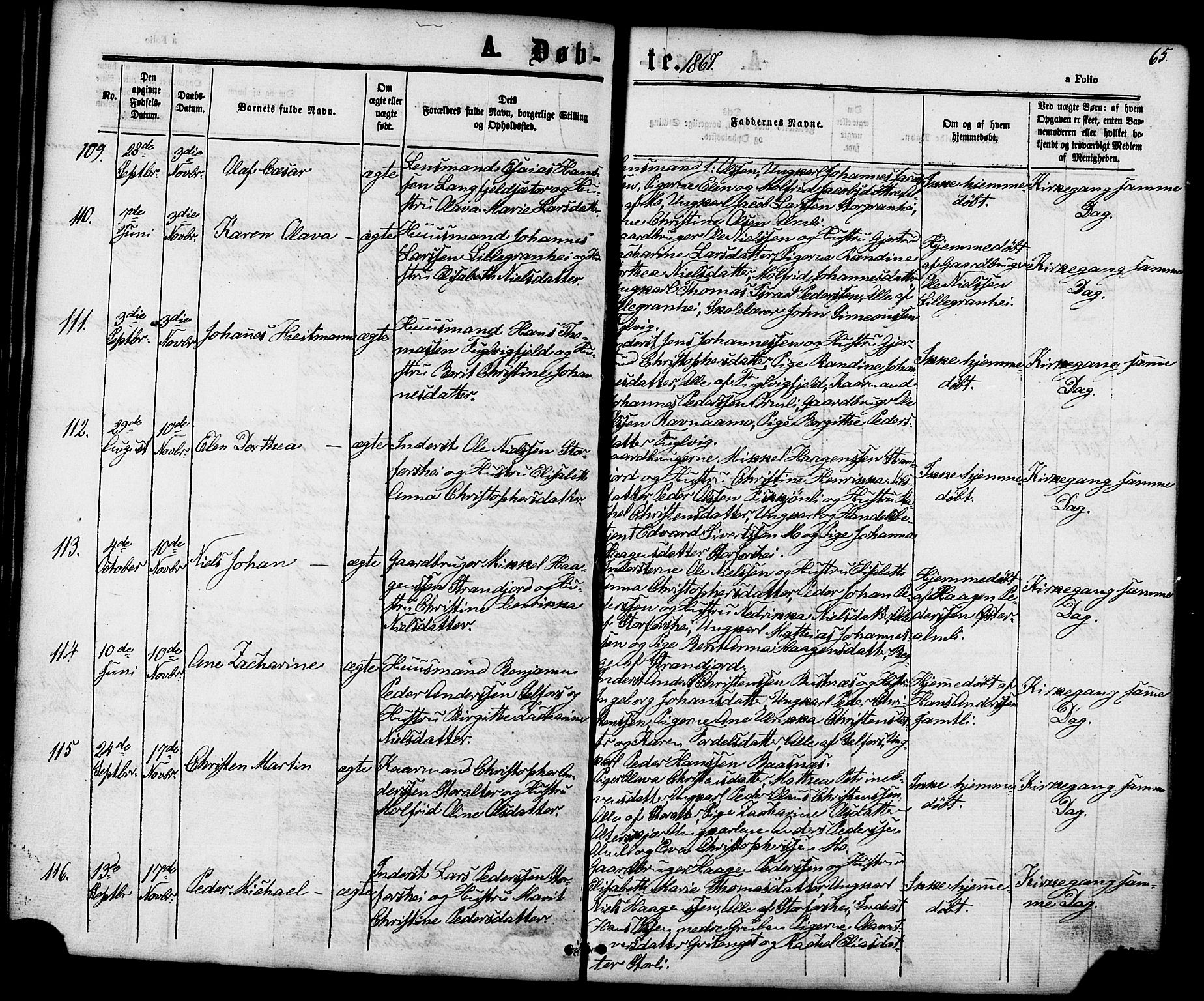 Ministerialprotokoller, klokkerbøker og fødselsregistre - Nordland, AV/SAT-A-1459/827/L0393: Parish register (official) no. 827A05, 1863-1883, p. 65