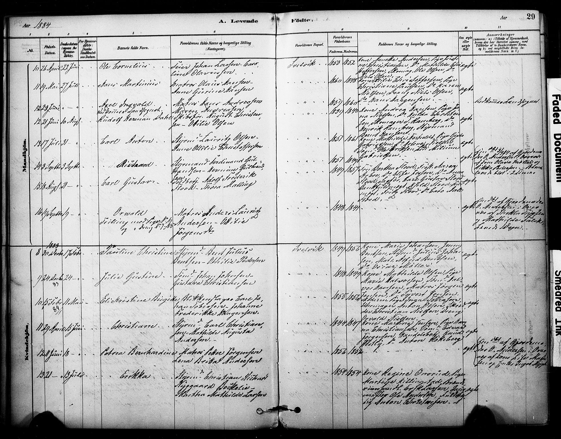 Strømm kirkebøker, AV/SAKO-A-322/F/Fb/L0001: Parish register (official) no. II 1, 1878-1899, p. 29