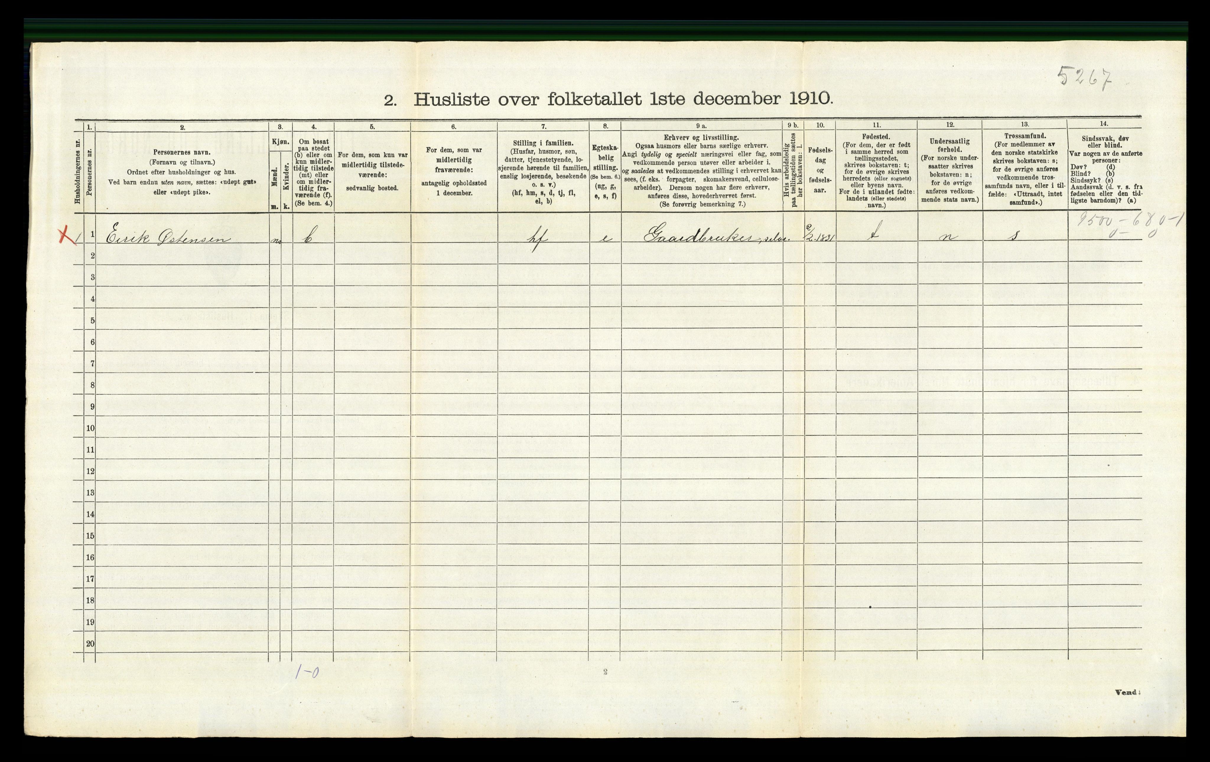 RA, 1910 census for Nes, 1910, p. 911