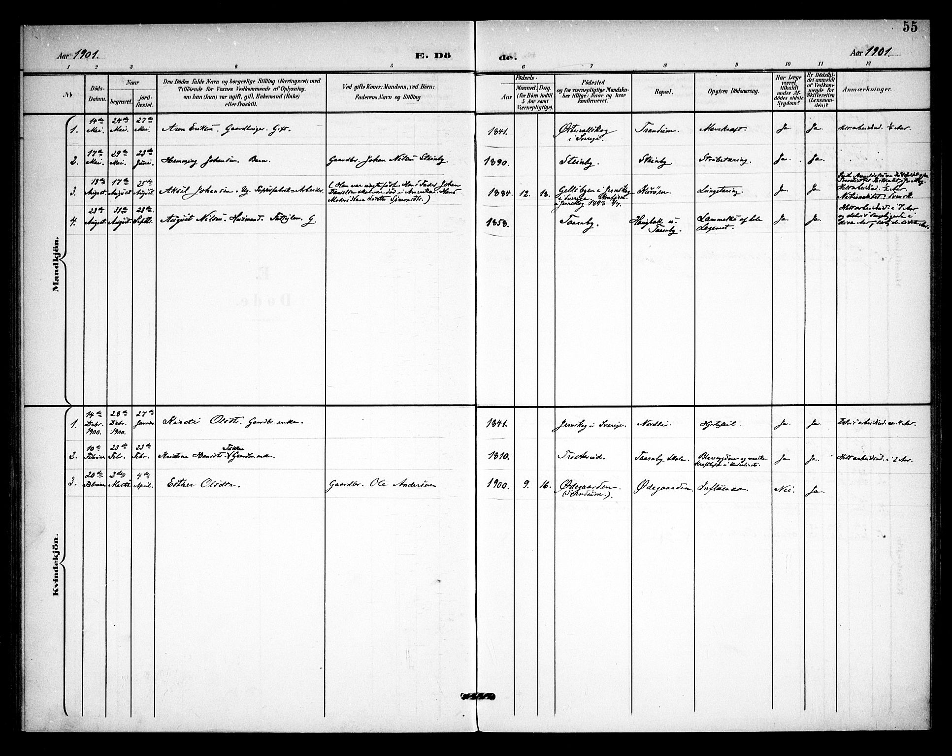 Rødenes prestekontor Kirkebøker, AV/SAO-A-2005/F/Fb/L0003: Parish register (official) no. II 3, 1901-1910, p. 55