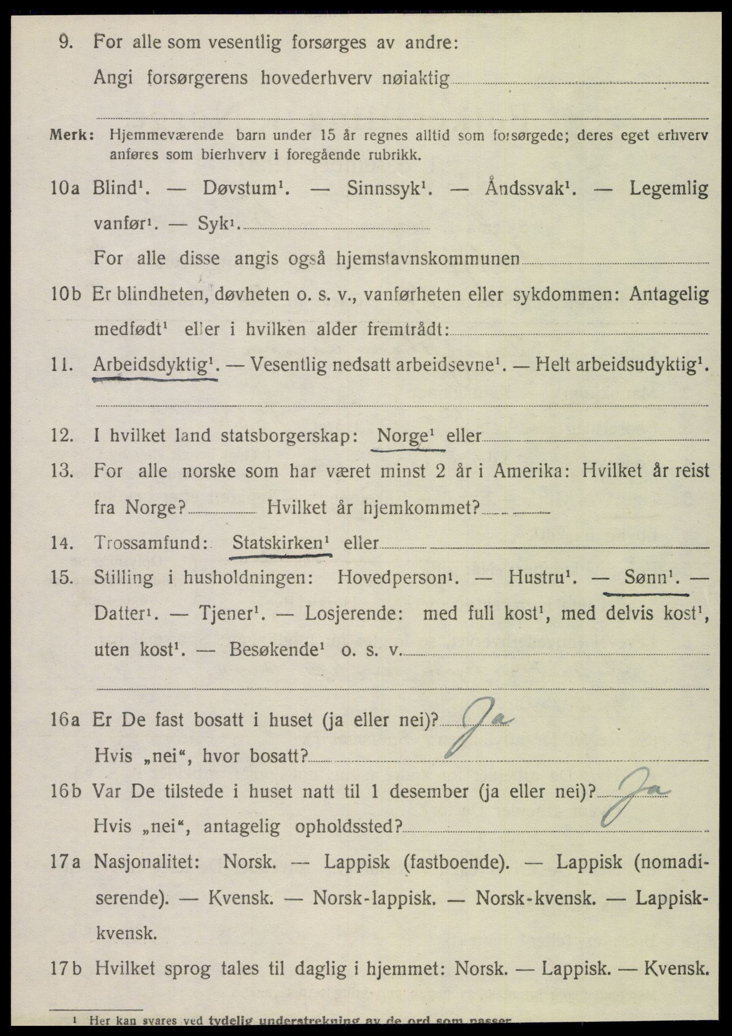 SAT, 1920 census for Hattfjelldal, 1920, p. 2505