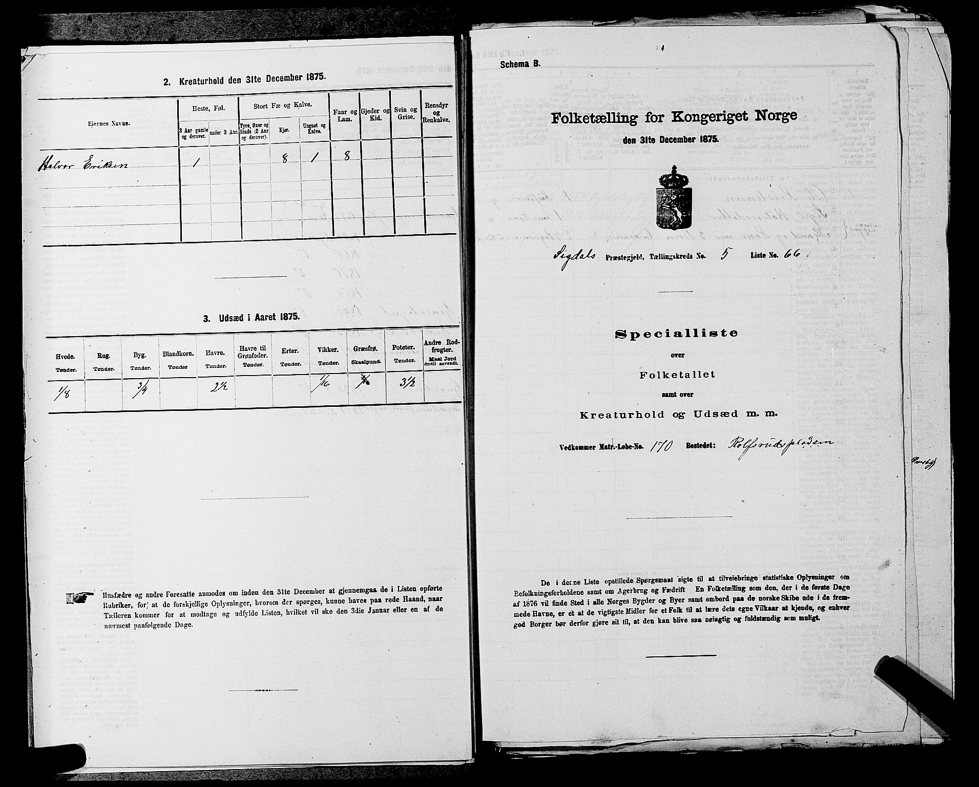 SAKO, 1875 census for 0621P Sigdal, 1875, p. 847