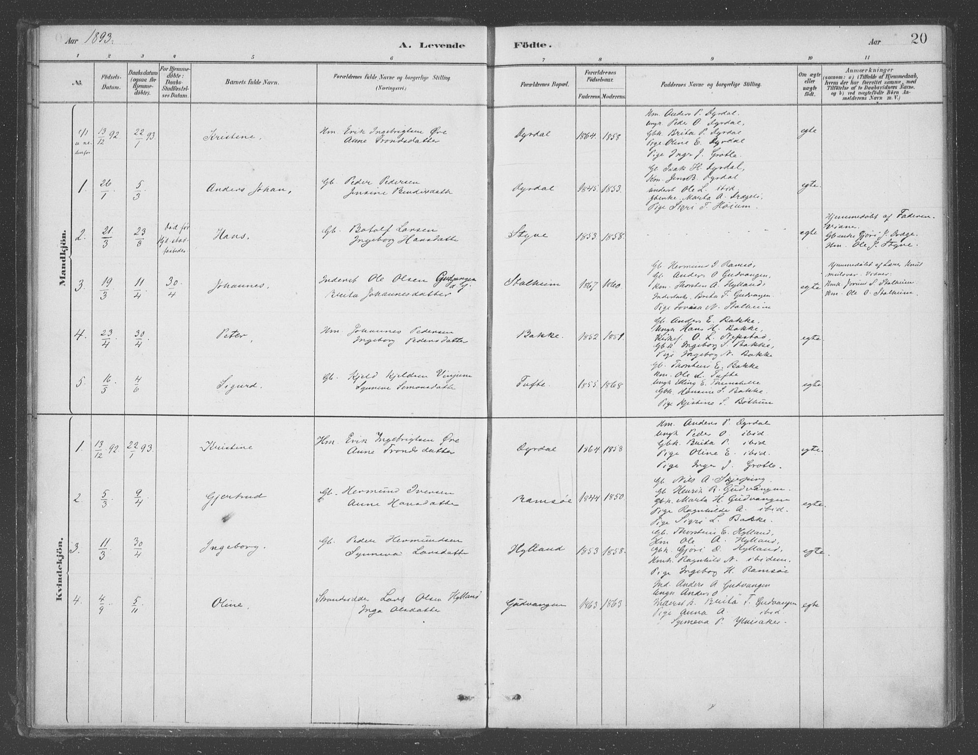 Aurland sokneprestembete, SAB/A-99937/H/Ha/Had/L0001: Parish register (official) no. D  1, 1880-1903, p. 20