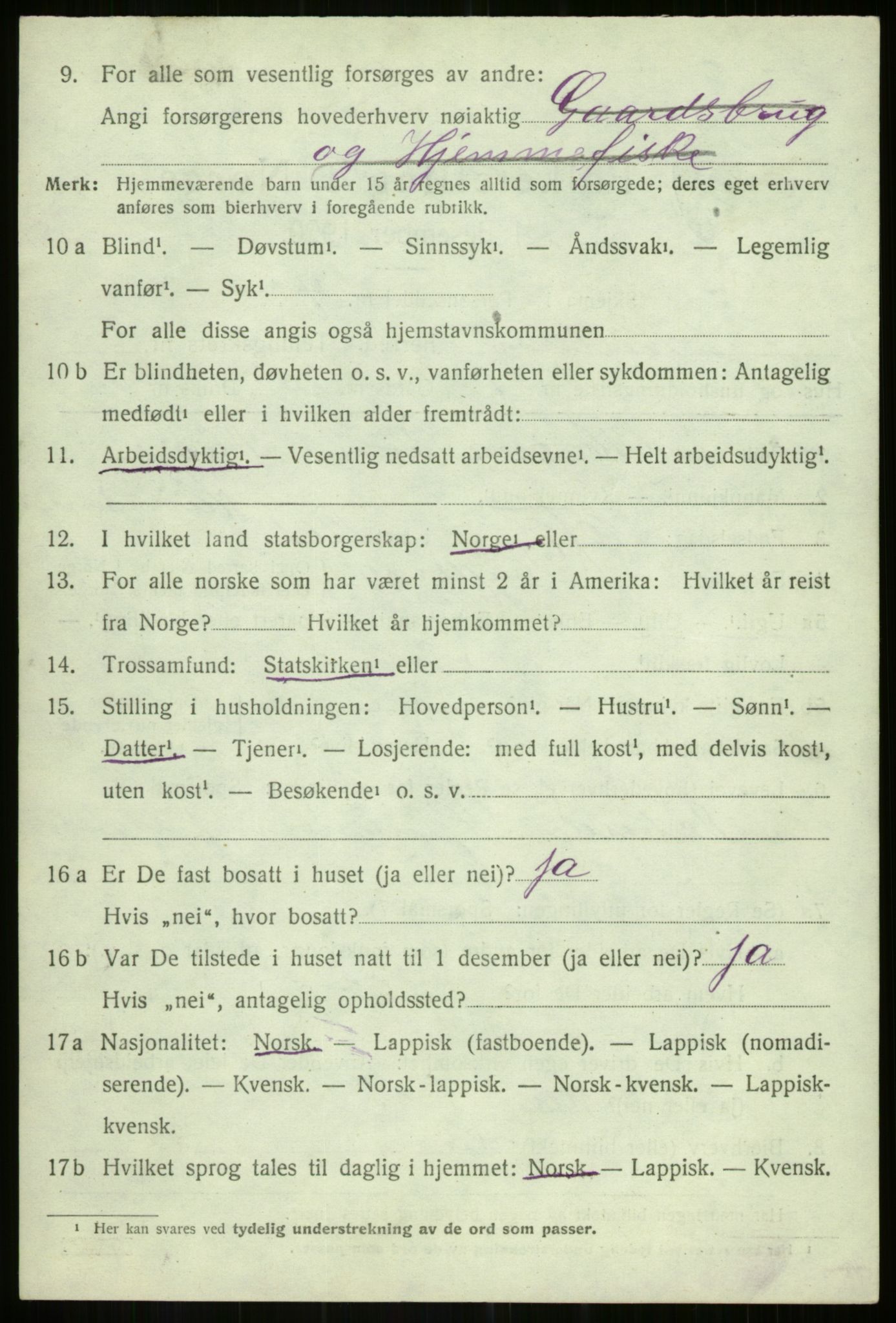 SATØ, 1920 census for Hillesøy, 1920, p. 2910