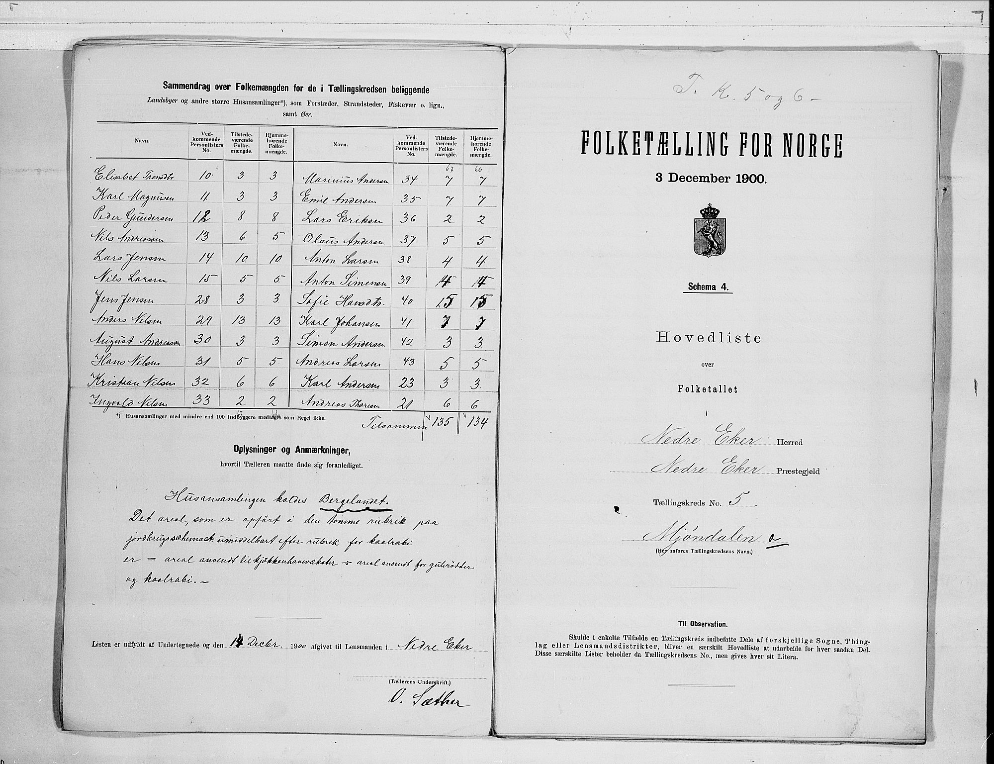 RA, 1900 census for Nedre Eiker, 1900, p. 12