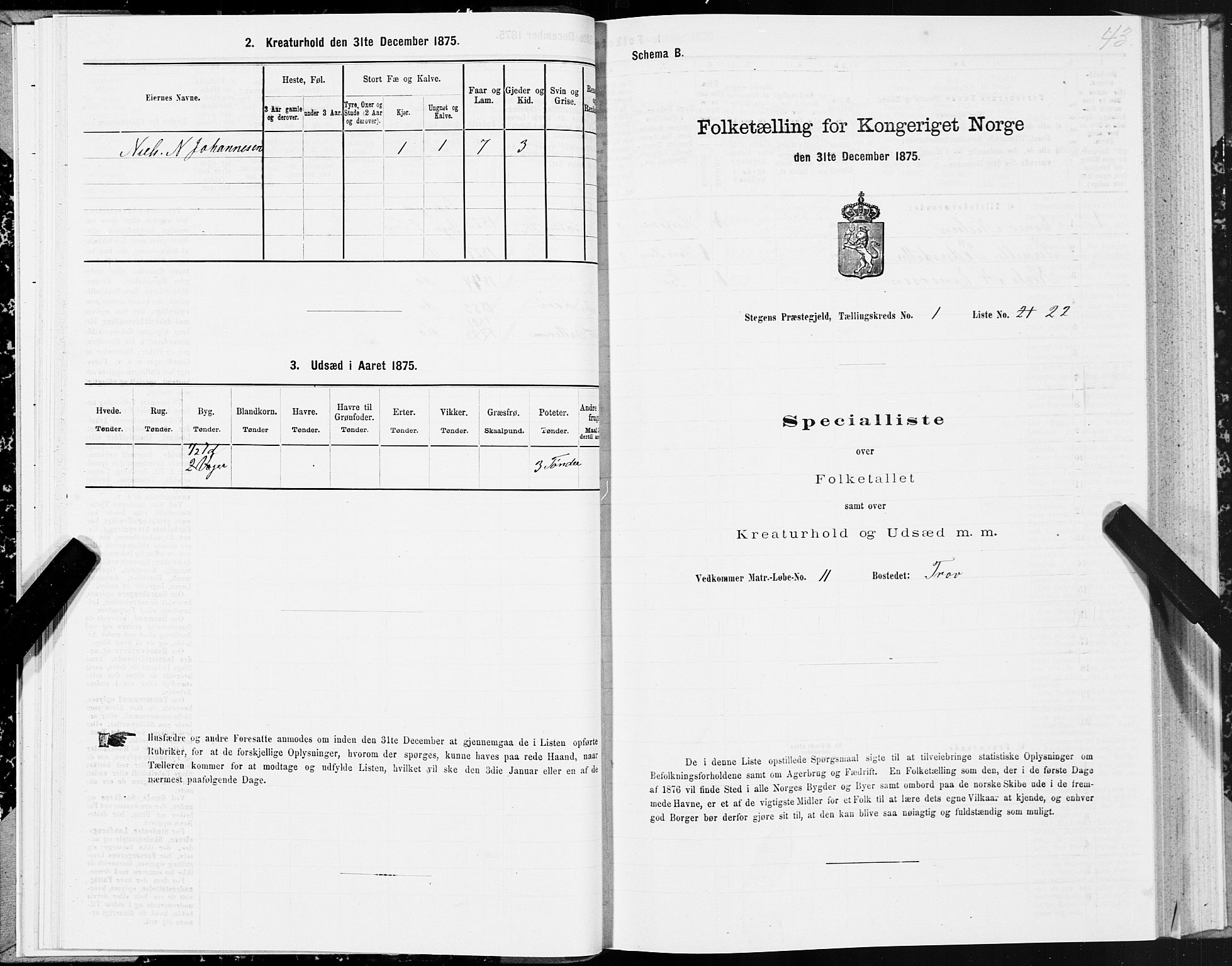 SAT, 1875 census for 1848P Steigen, 1875, p. 1043