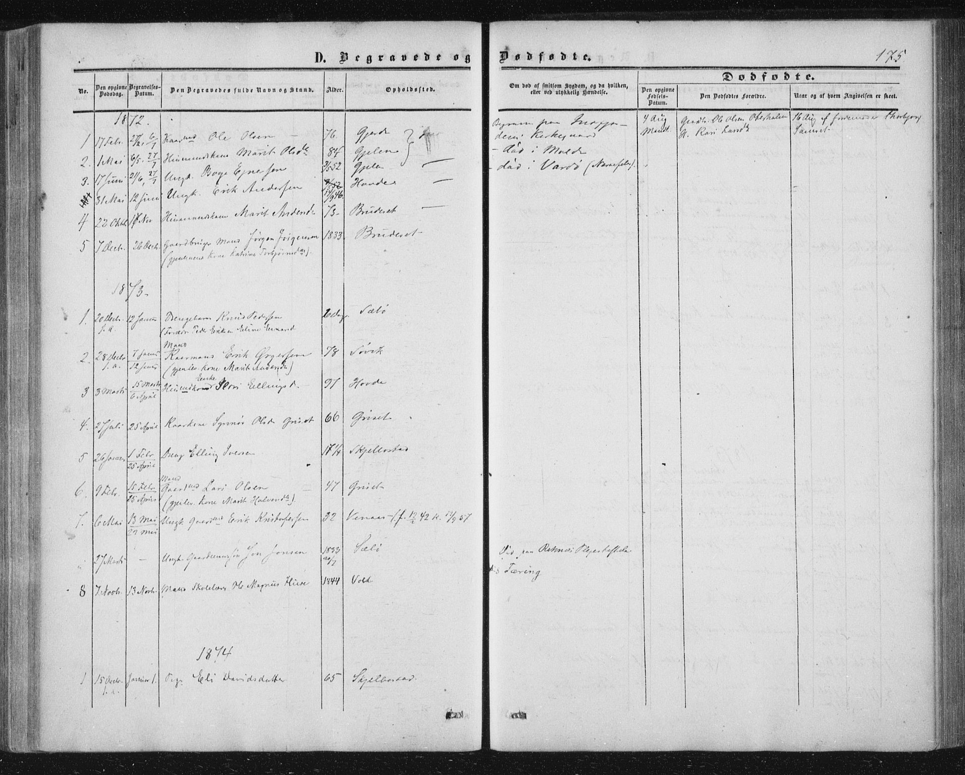 Ministerialprotokoller, klokkerbøker og fødselsregistre - Møre og Romsdal, AV/SAT-A-1454/543/L0562: Parish register (official) no. 543A02, 1854-1884, p. 175