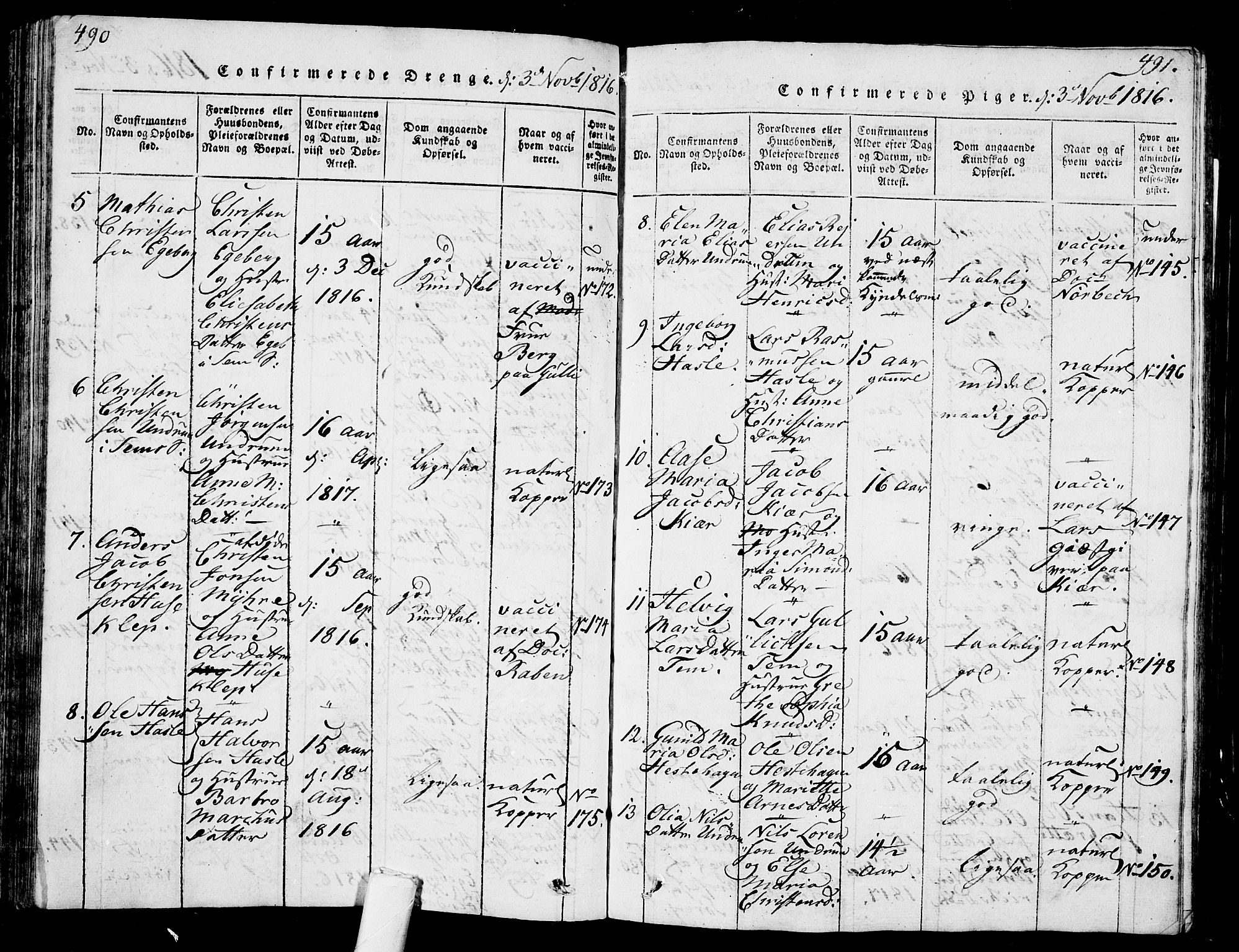 Sem kirkebøker, AV/SAKO-A-5/G/Ga/L0001: Parish register (copy) no. I 1, 1814-1825, p. 490-491