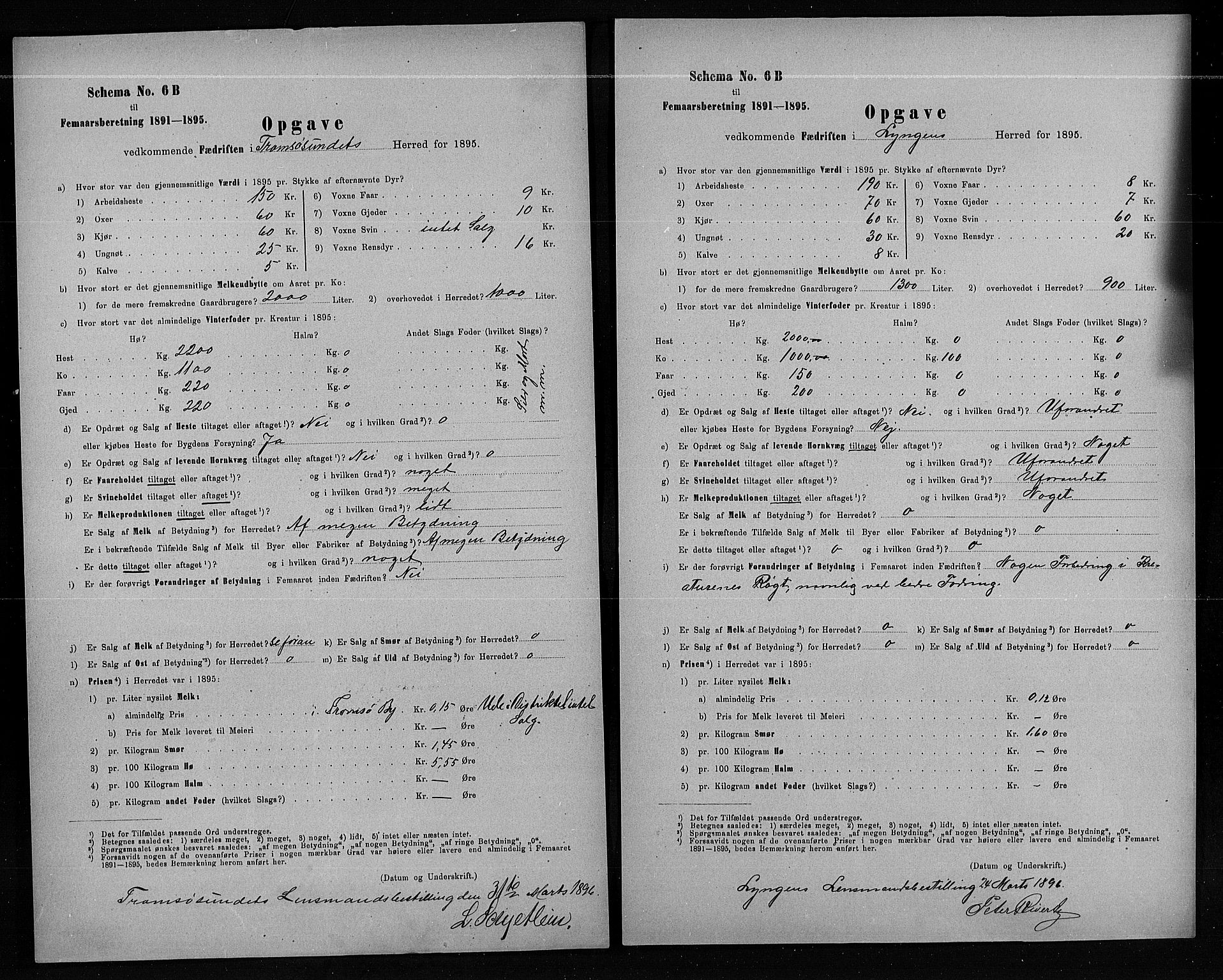 Statistisk sentralbyrå, Næringsøkonomiske emner, Generelt - Amtmennenes femårsberetninger, AV/RA-S-2233/F/Fa/L0080: --, 1895, p. 249