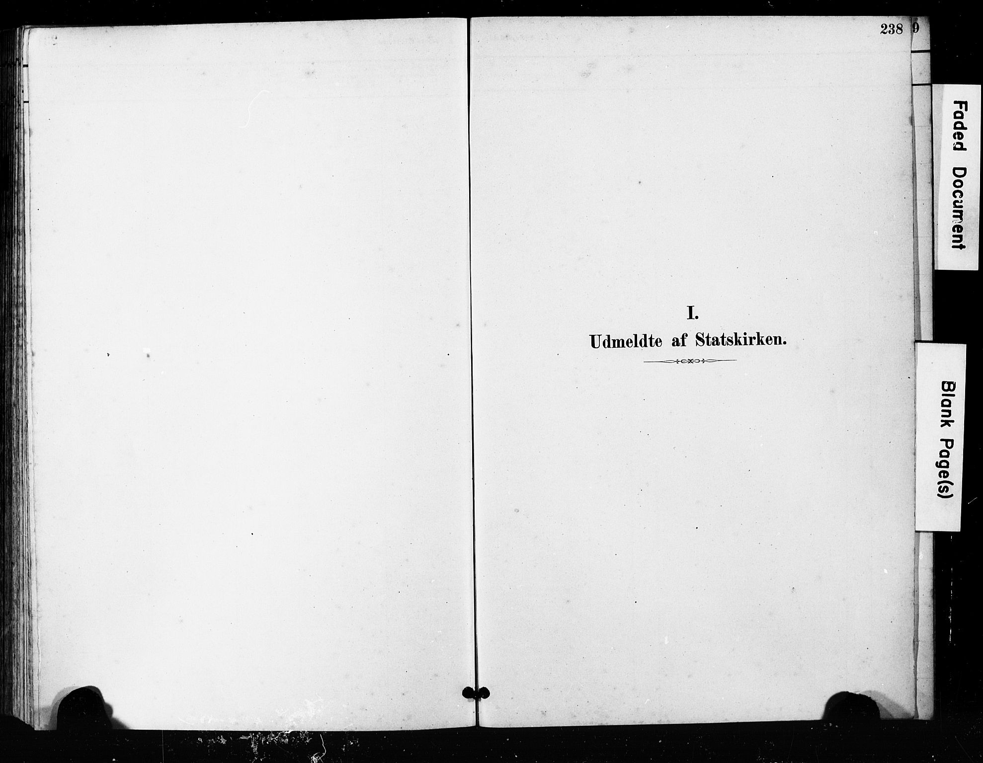 Ministerialprotokoller, klokkerbøker og fødselsregistre - Møre og Romsdal, AV/SAT-A-1454/563/L0737: Parish register (copy) no. 563C01, 1878-1916, p. 238