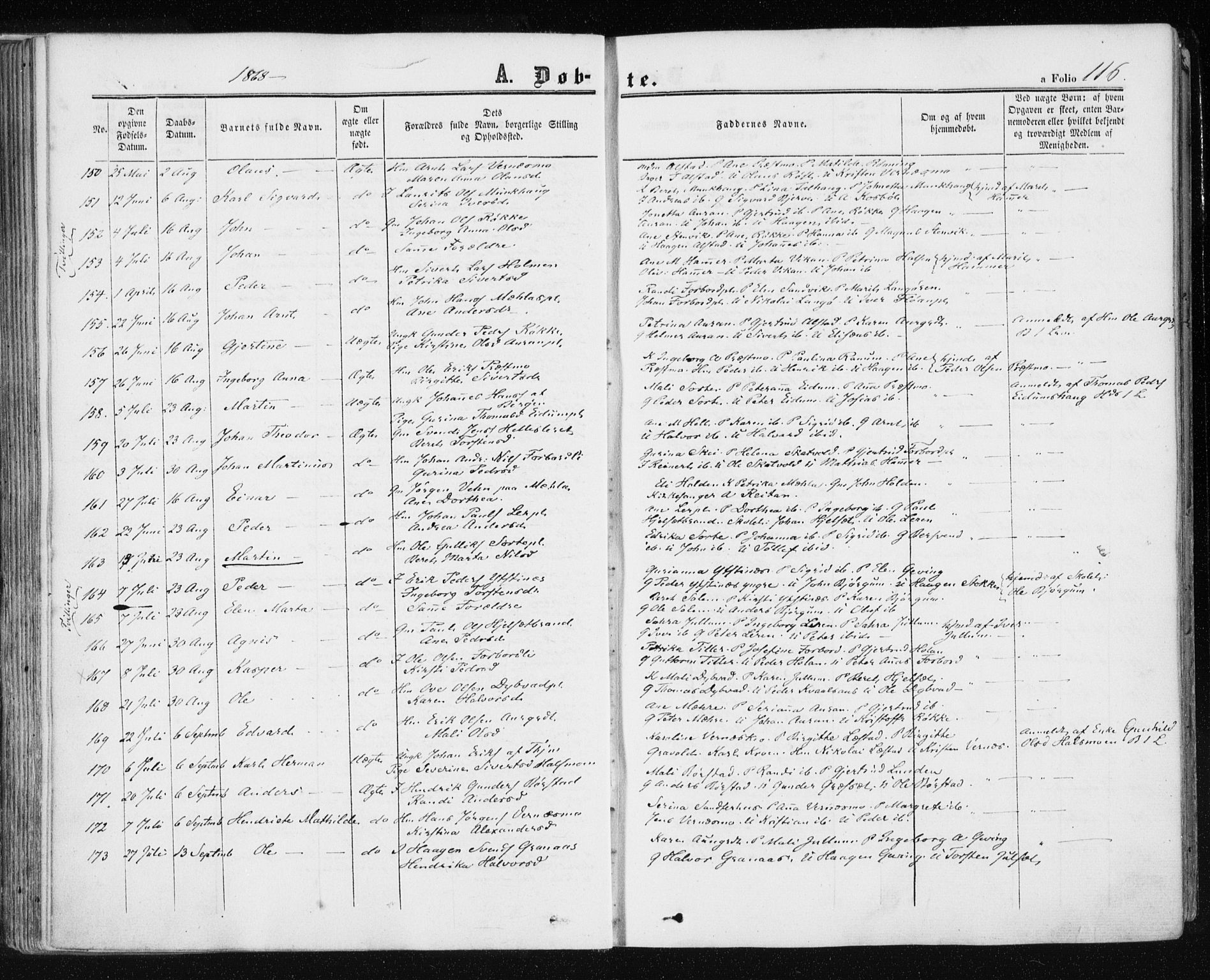 Ministerialprotokoller, klokkerbøker og fødselsregistre - Nord-Trøndelag, AV/SAT-A-1458/709/L0075: Parish register (official) no. 709A15, 1859-1870, p. 116