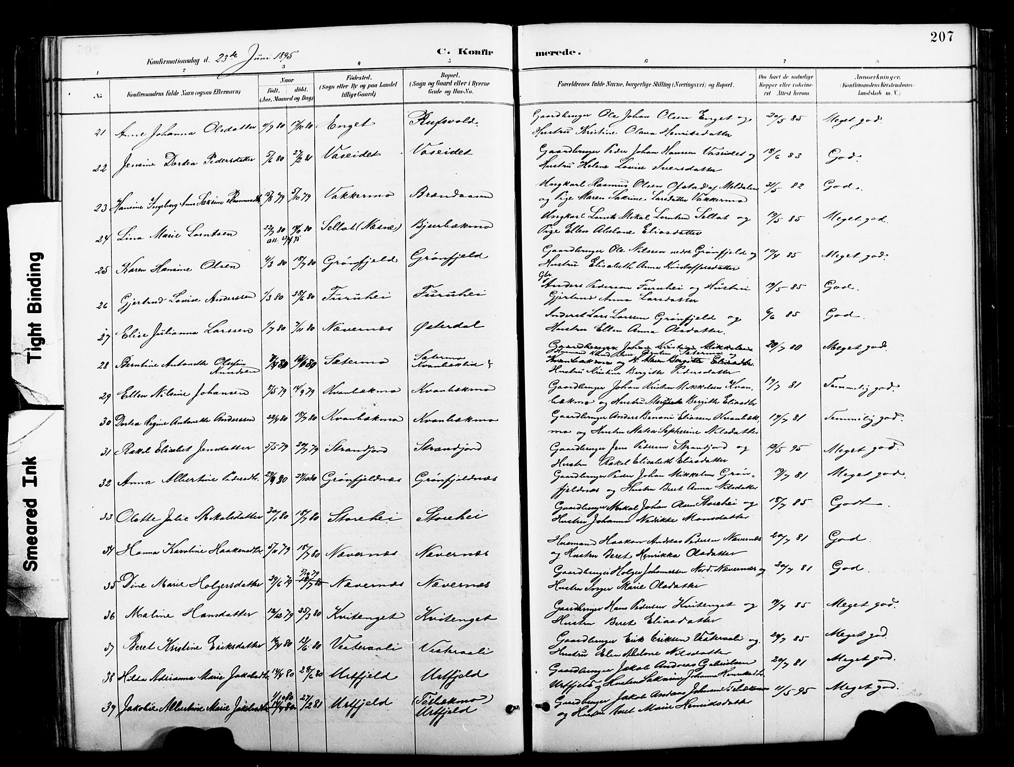 Ministerialprotokoller, klokkerbøker og fødselsregistre - Nordland, AV/SAT-A-1459/827/L0421: Parish register (copy) no. 827C10, 1887-1906, p. 207