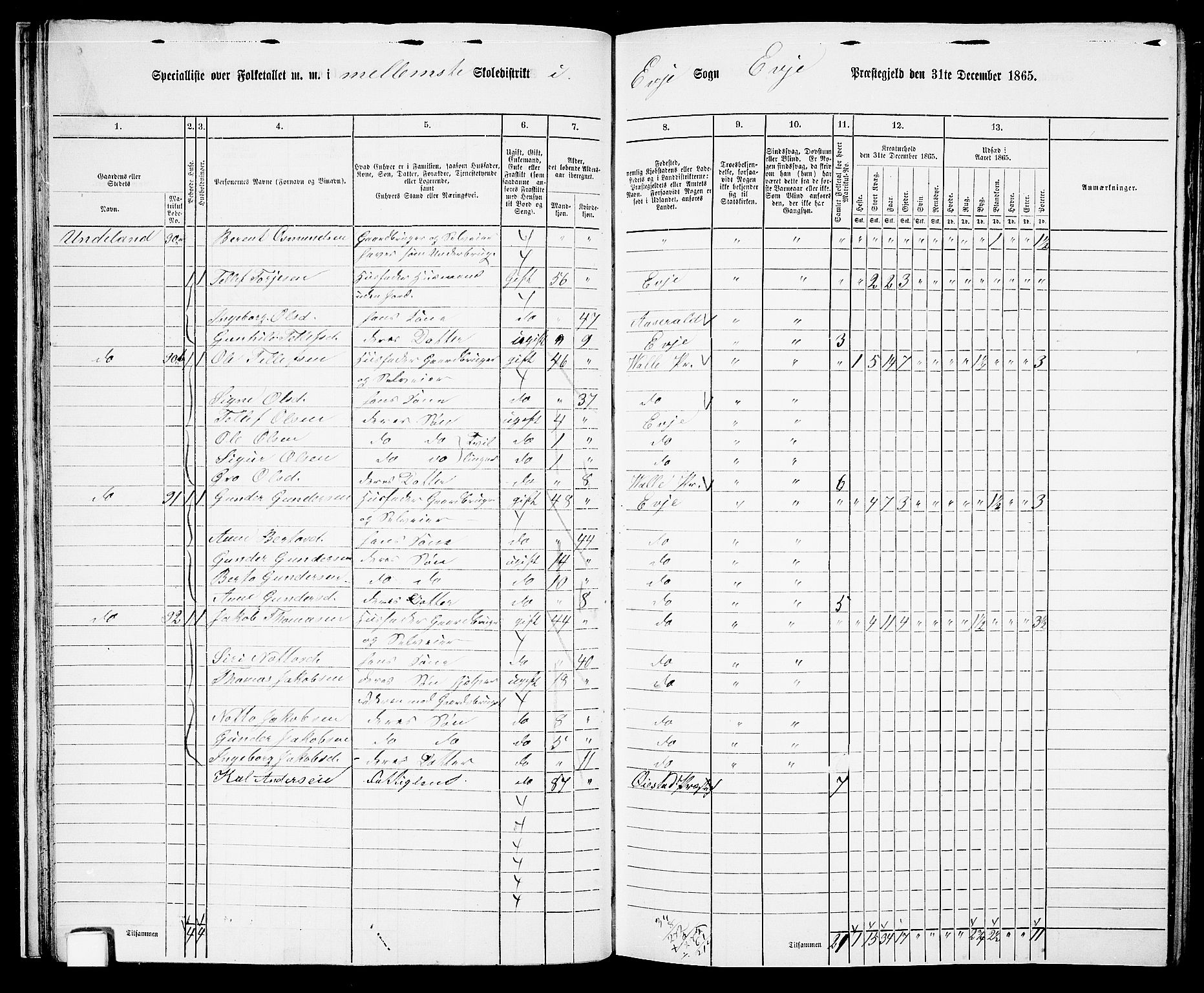 RA, 1865 census for Evje, 1865, p. 29