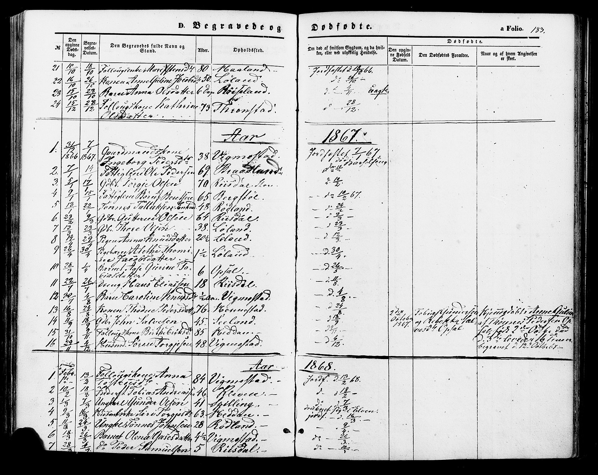 Nord-Audnedal sokneprestkontor, AV/SAK-1111-0032/F/Fa/Fab/L0002: Parish register (official) no. A 2, 1859-1882, p. 183