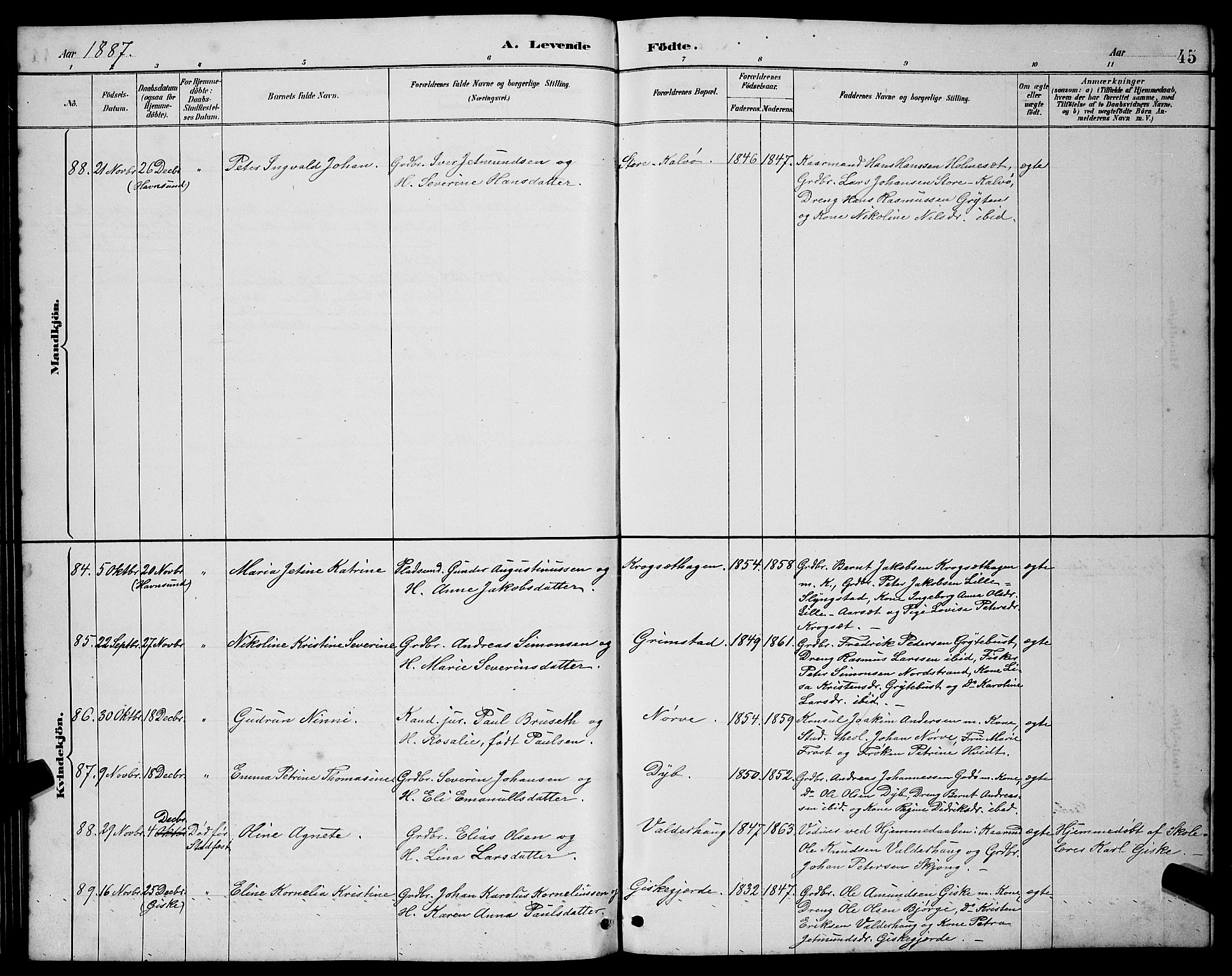 Ministerialprotokoller, klokkerbøker og fødselsregistre - Møre og Romsdal, SAT/A-1454/528/L0431: Parish register (copy) no. 528C12, 1885-1898, p. 45