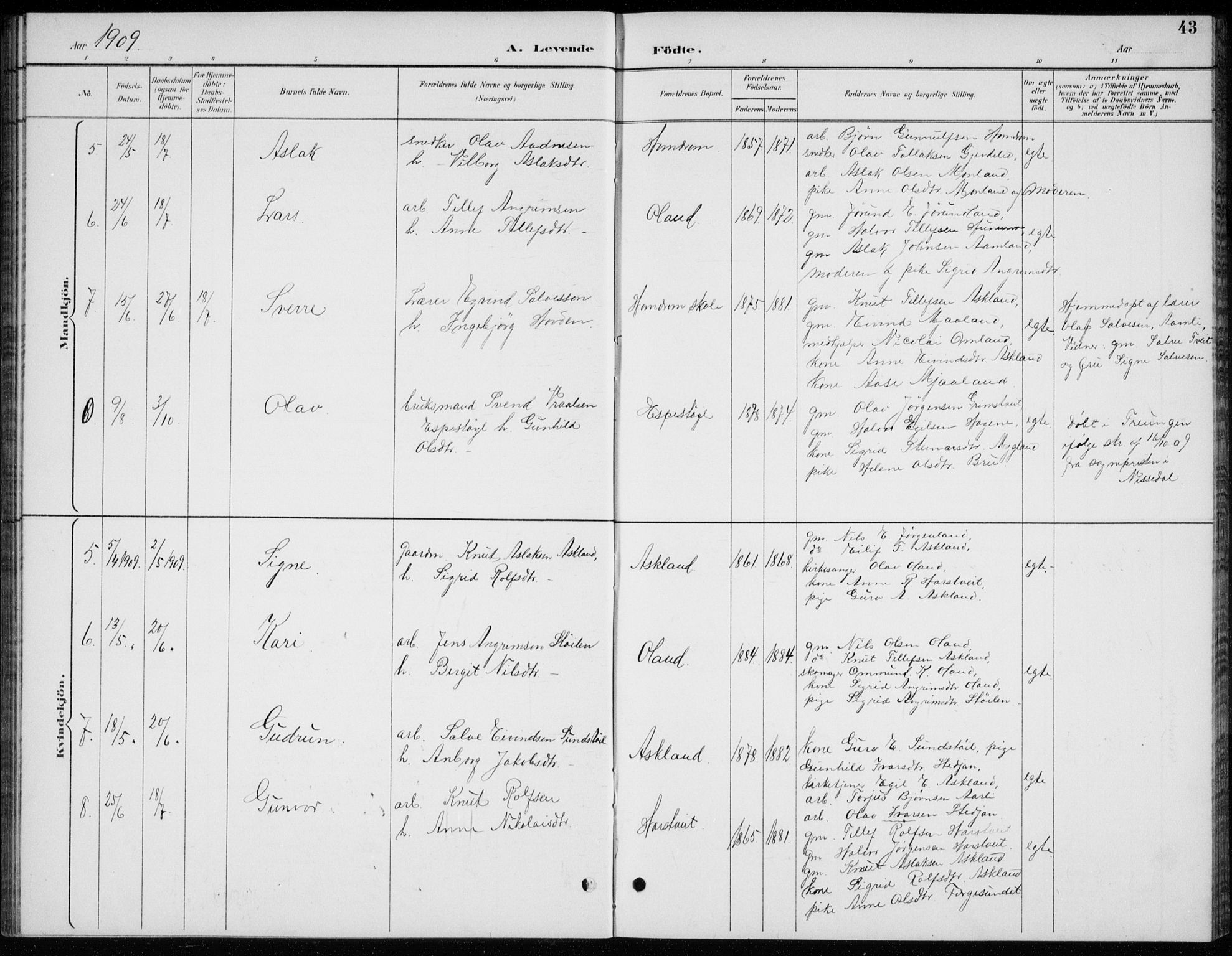 Åmli sokneprestkontor, AV/SAK-1111-0050/F/Fb/Fba/L0002: Parish register (copy) no. B 2, 1890-1912, p. 43