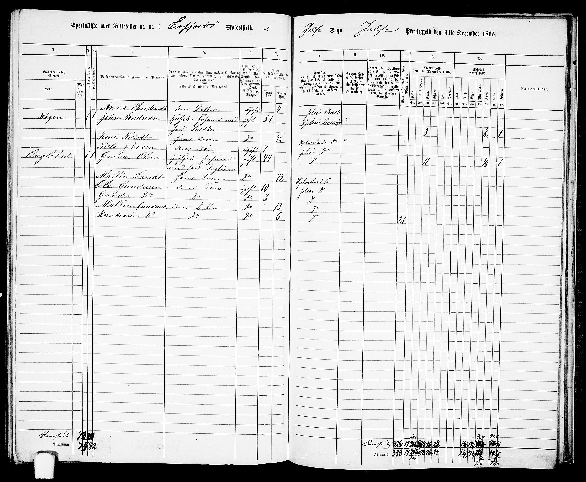 RA, 1865 census for Jelsa, 1865, p. 110