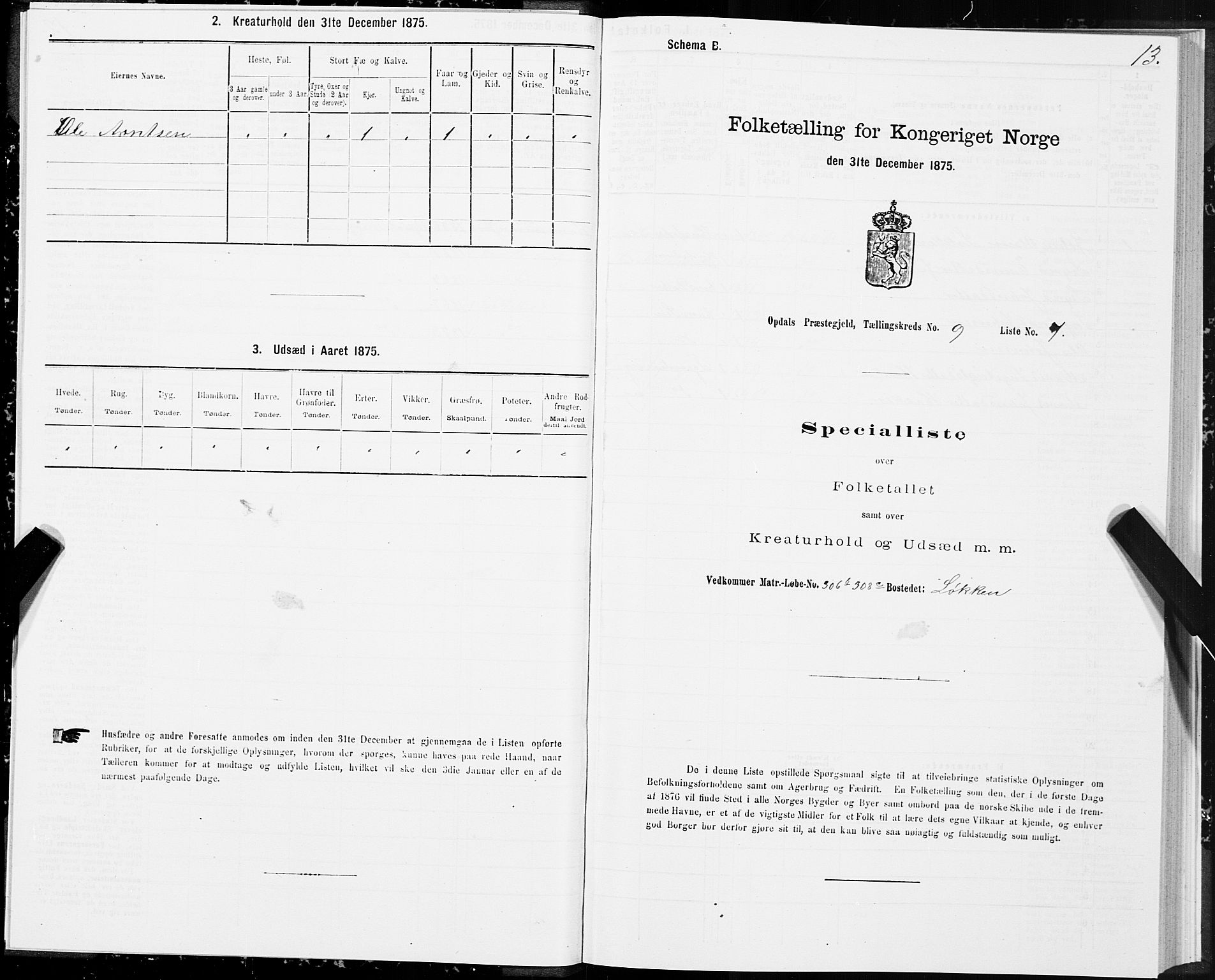 SAT, 1875 census for 1634P Oppdal, 1875, p. 6013