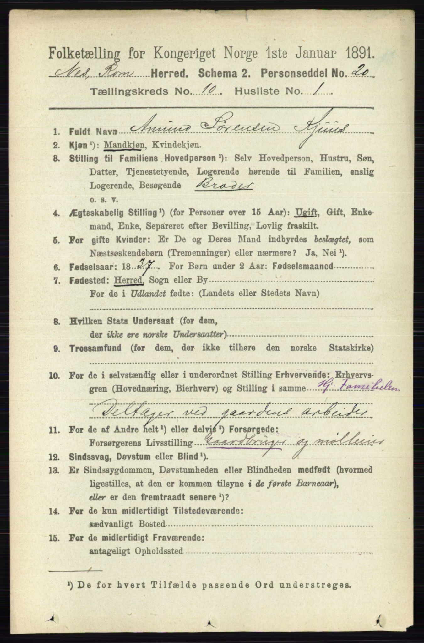 RA, 1891 census for 0236 Nes, 1891, p. 5809