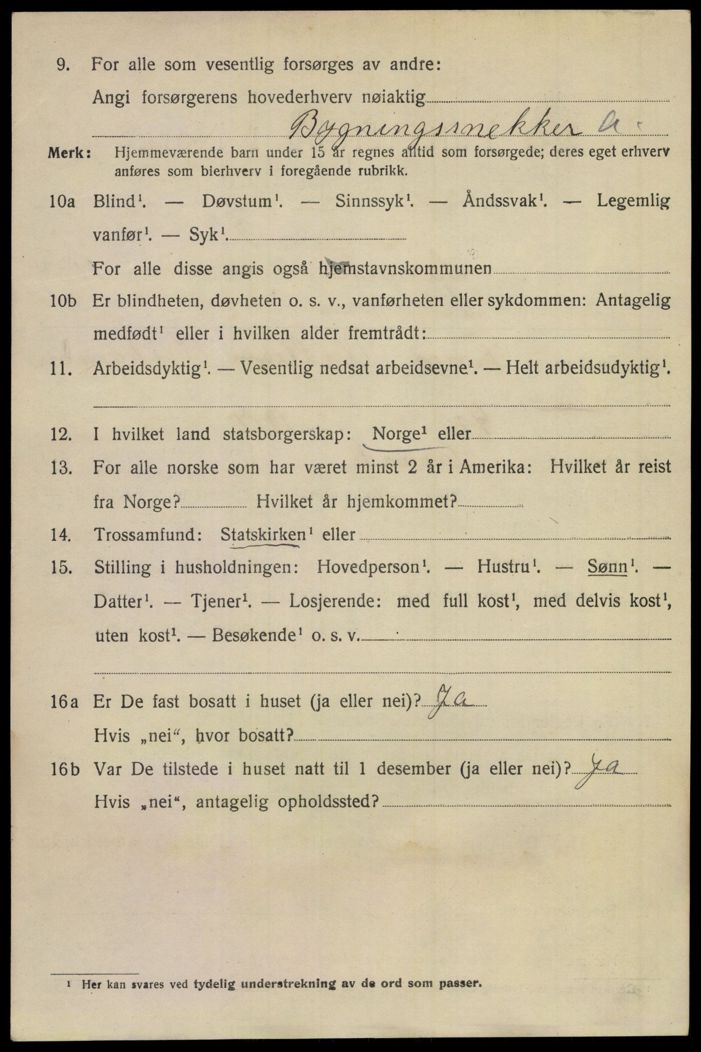 SAKO, 1920 census for Larvik, 1920, p. 28707