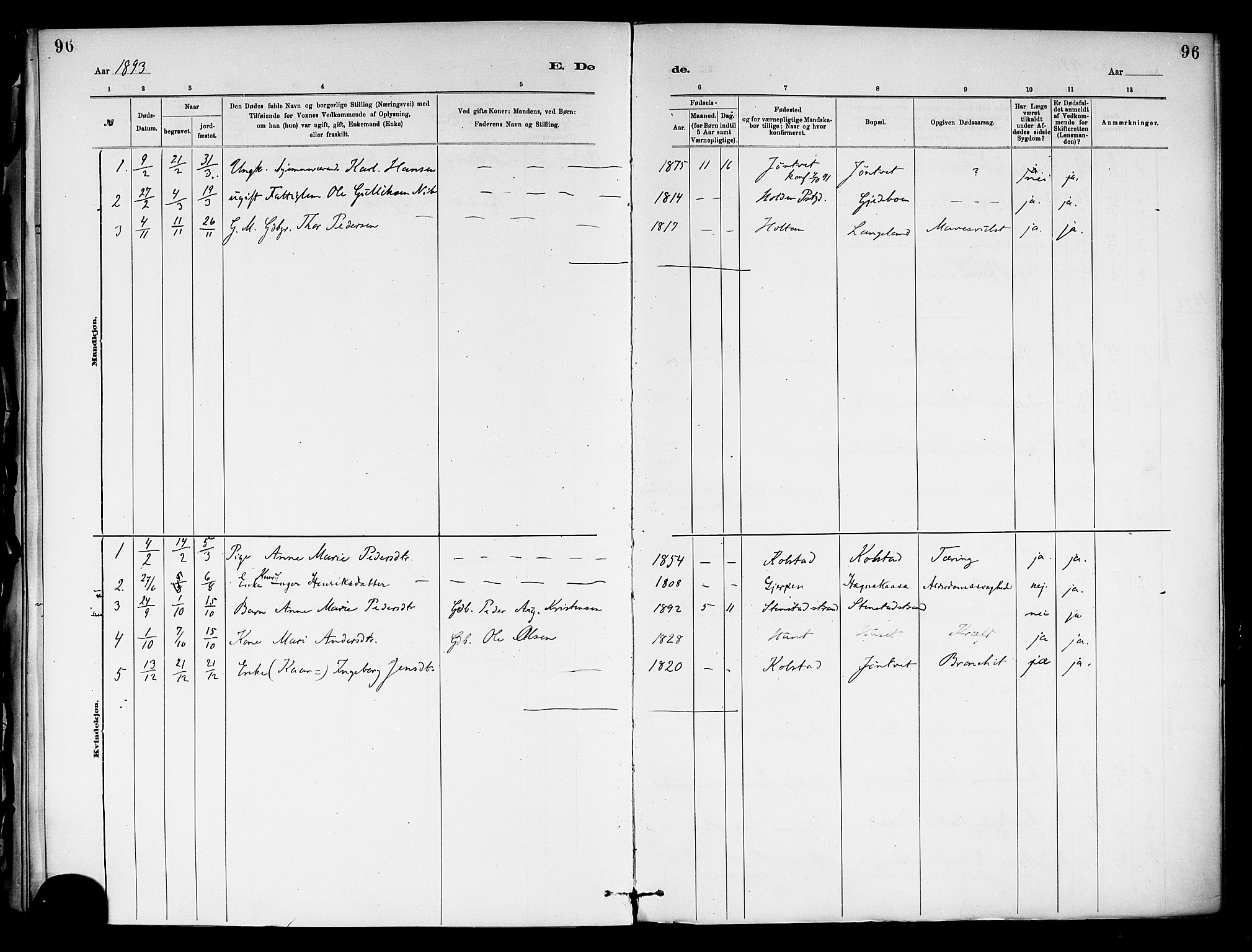 Holla kirkebøker, AV/SAKO-A-272/F/Fa/L0009: Parish register (official) no. 9, 1881-1897, p. 96