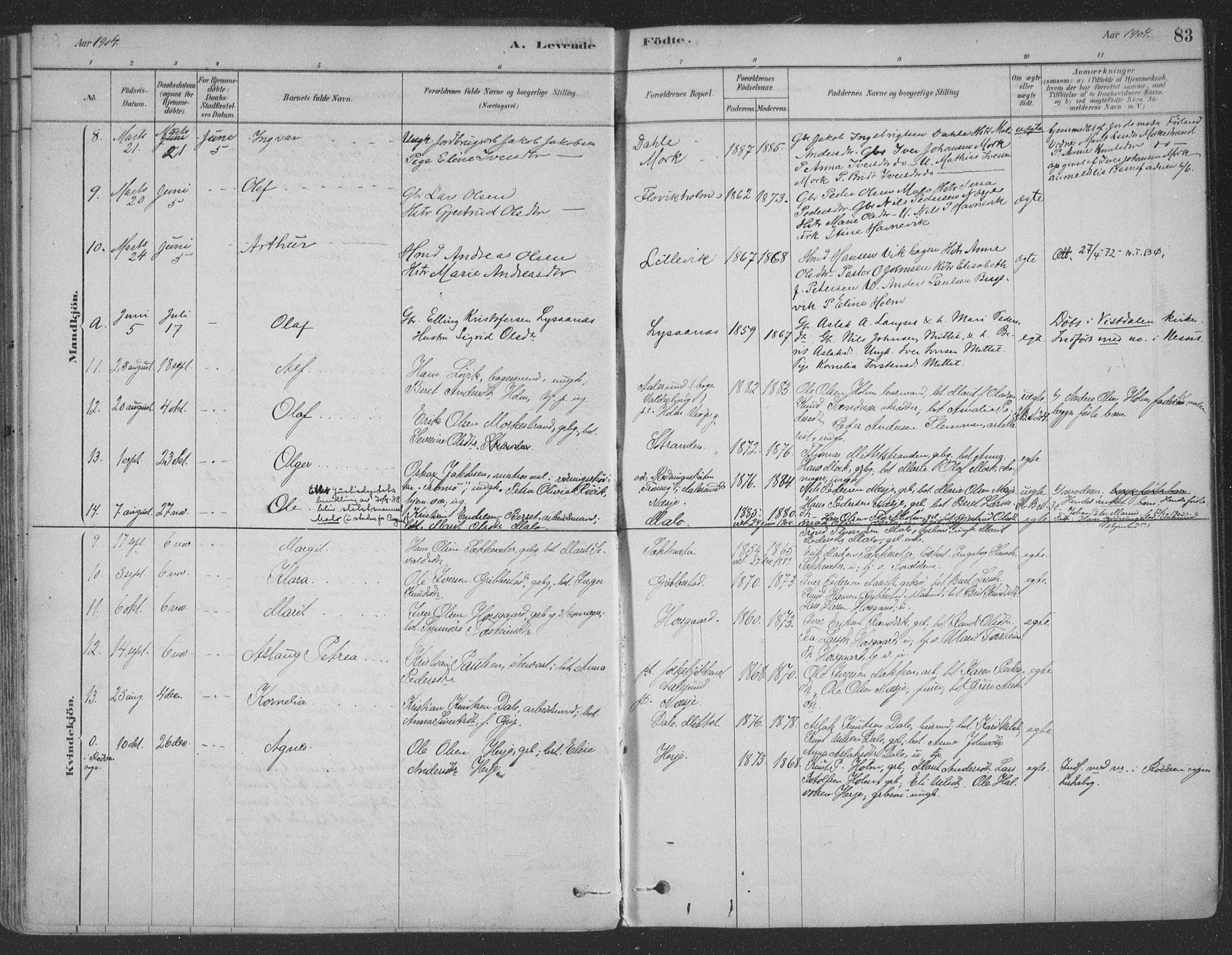 Ministerialprotokoller, klokkerbøker og fødselsregistre - Møre og Romsdal, AV/SAT-A-1454/547/L0604: Parish register (official) no. 547A06, 1878-1906, p. 83