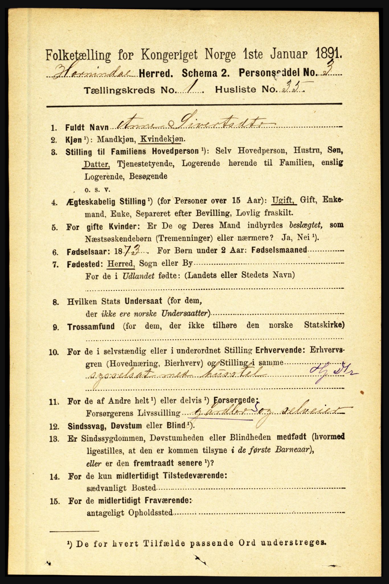 RA, 1891 census for 1444 Hornindal, 1891, p. 294