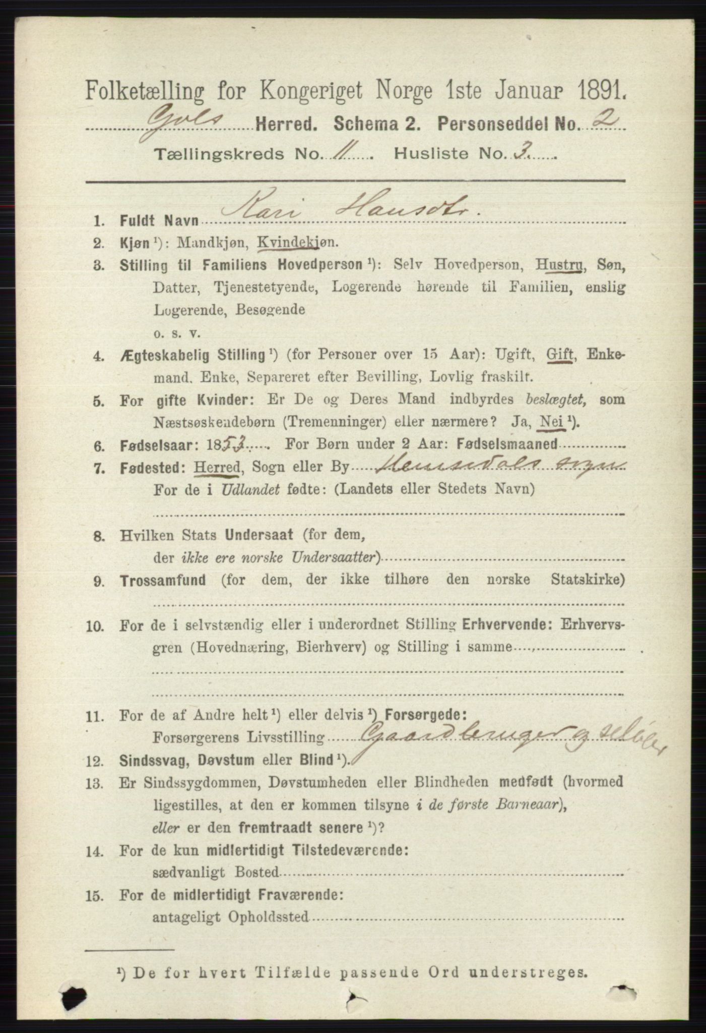 RA, 1891 census for 0617 Gol og Hemsedal, 1891, p. 4379