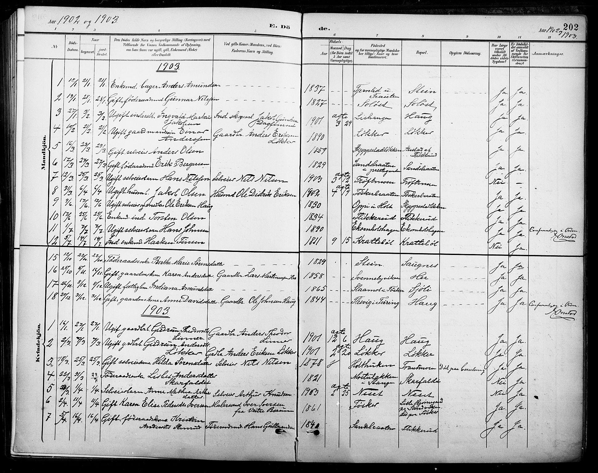 Nord-Odal prestekontor, AV/SAH-PREST-032/H/Ha/Hab/L0003: Parish register (copy) no. 3, 1895-1923, p. 202