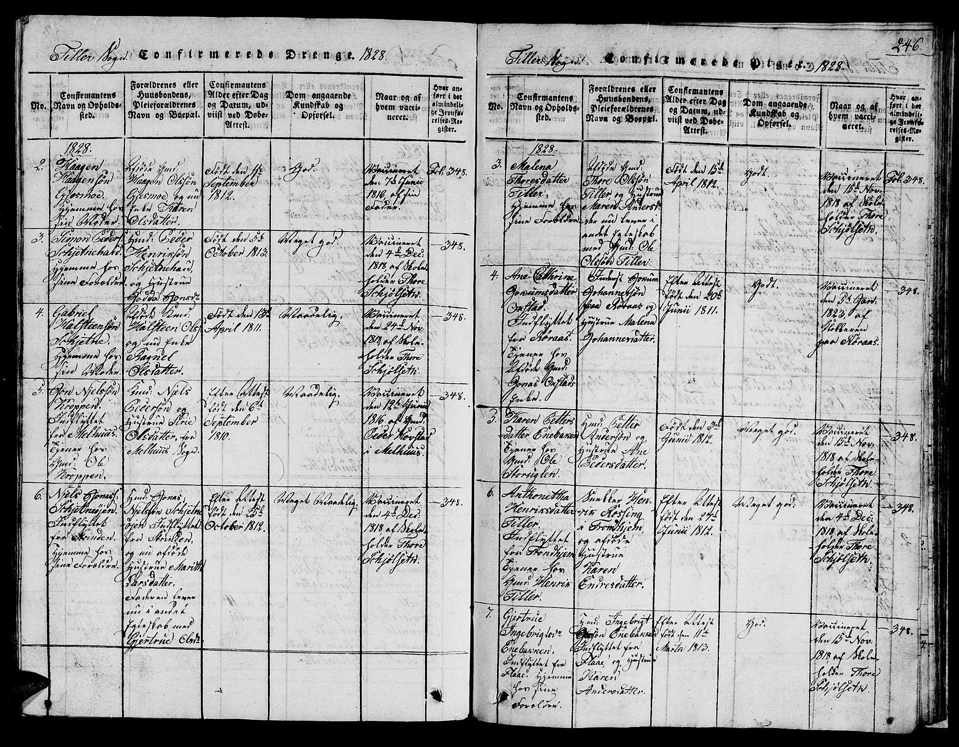 Ministerialprotokoller, klokkerbøker og fødselsregistre - Sør-Trøndelag, SAT/A-1456/621/L0458: Parish register (copy) no. 621C01, 1816-1865, p. 246
