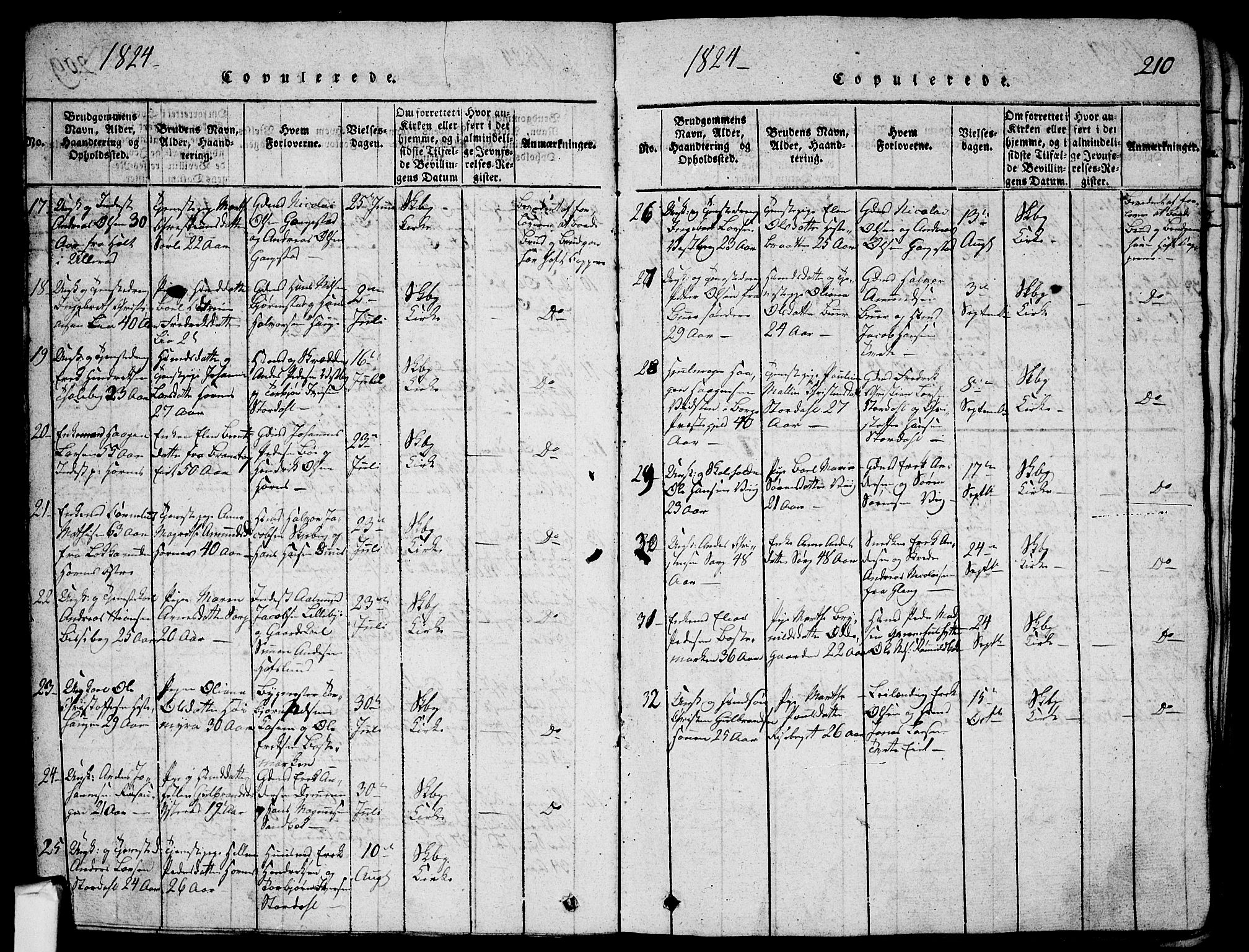 Skjeberg prestekontor Kirkebøker, SAO/A-10923/G/Ga/L0001: Parish register (copy) no. I 1, 1815-1830, p. 210