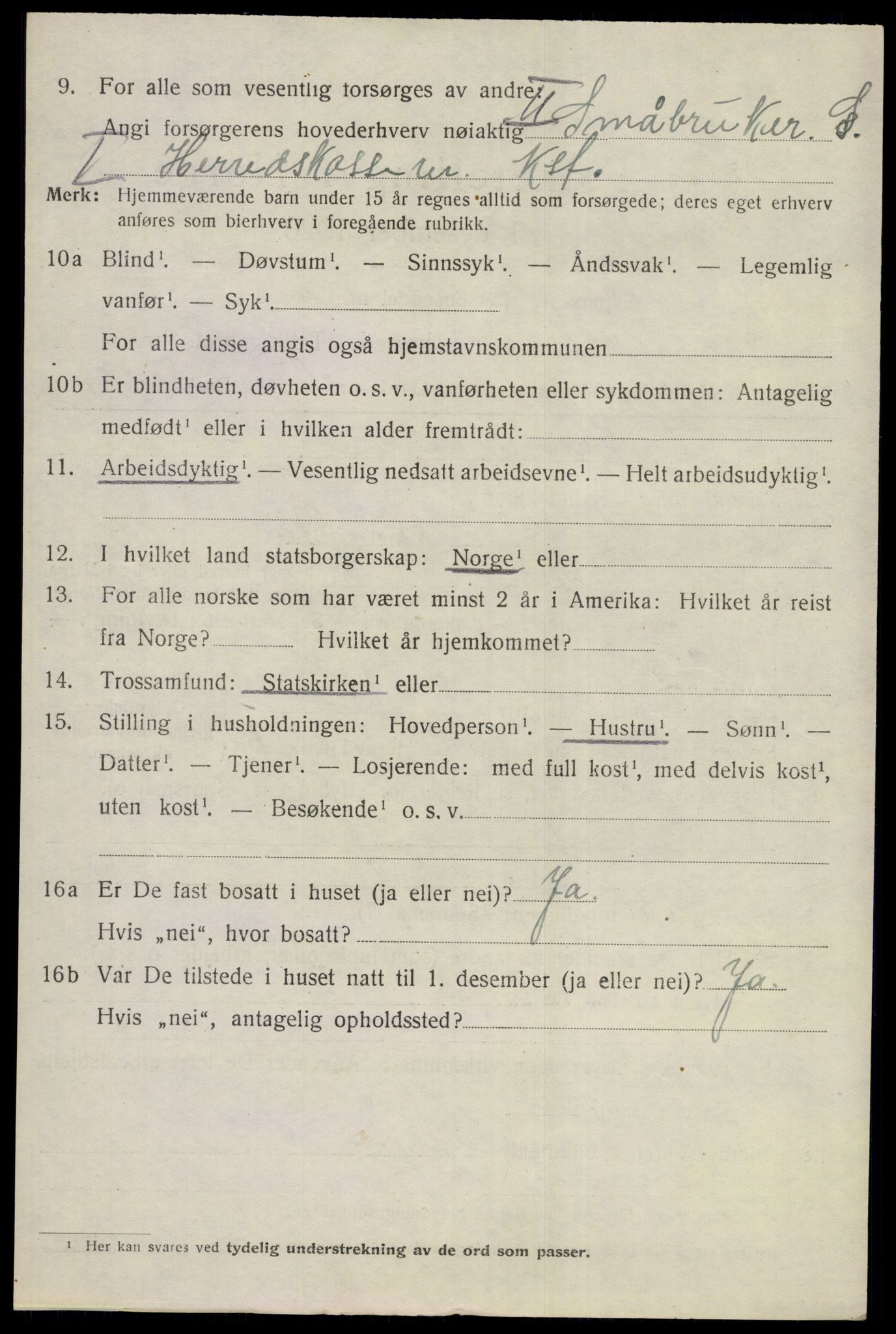 SAKO, 1920 census for Nes (Buskerud), 1920, p. 3109