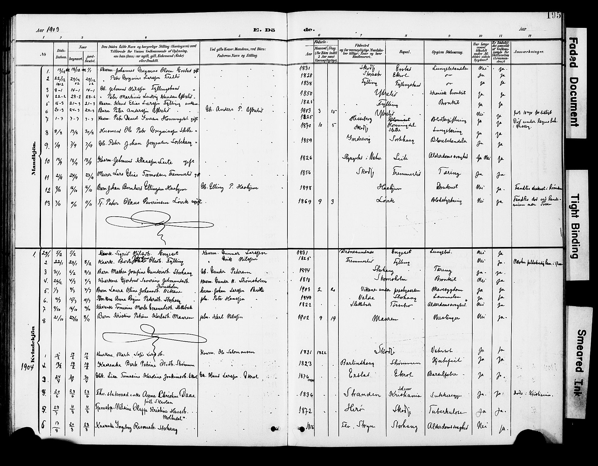 Ministerialprotokoller, klokkerbøker og fødselsregistre - Møre og Romsdal, SAT/A-1454/524/L0366: Parish register (copy) no. 524C07, 1900-1931, p. 195