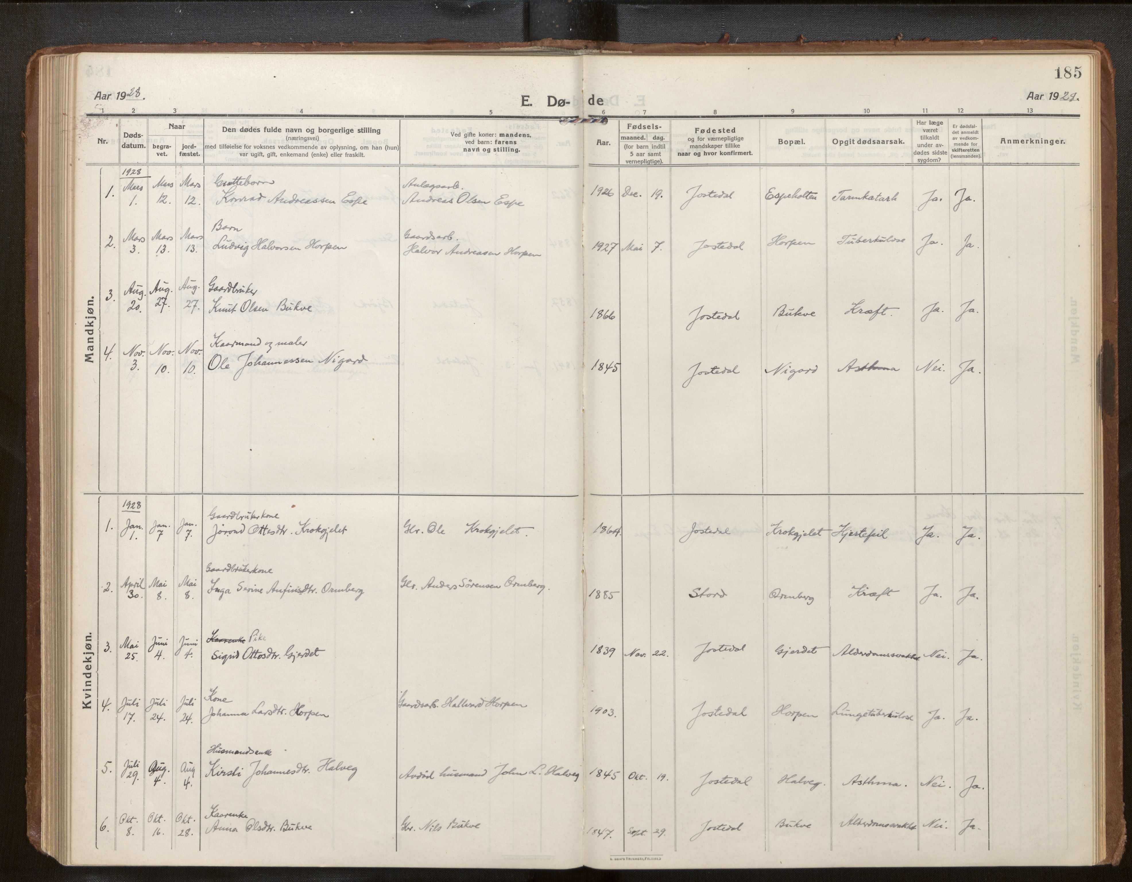 Jostedal sokneprestembete, AV/SAB-A-80601/H/Haa/Haab/L0002: Parish register (official) no. B 2, 1915-1931, p. 185