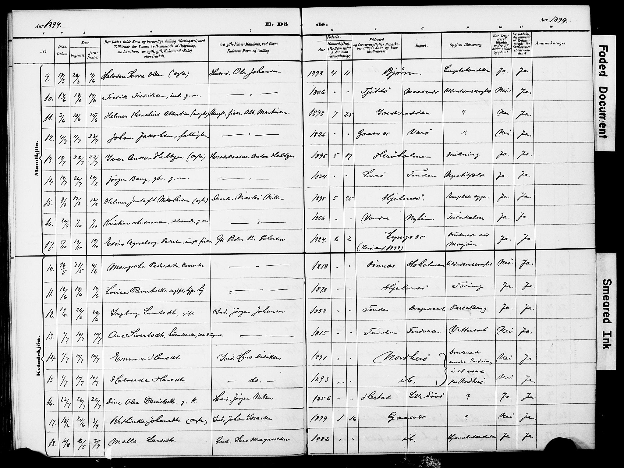 Ministerialprotokoller, klokkerbøker og fødselsregistre - Nordland, AV/SAT-A-1459/834/L0514: Parish register (copy) no. 834C05, 1893-1901