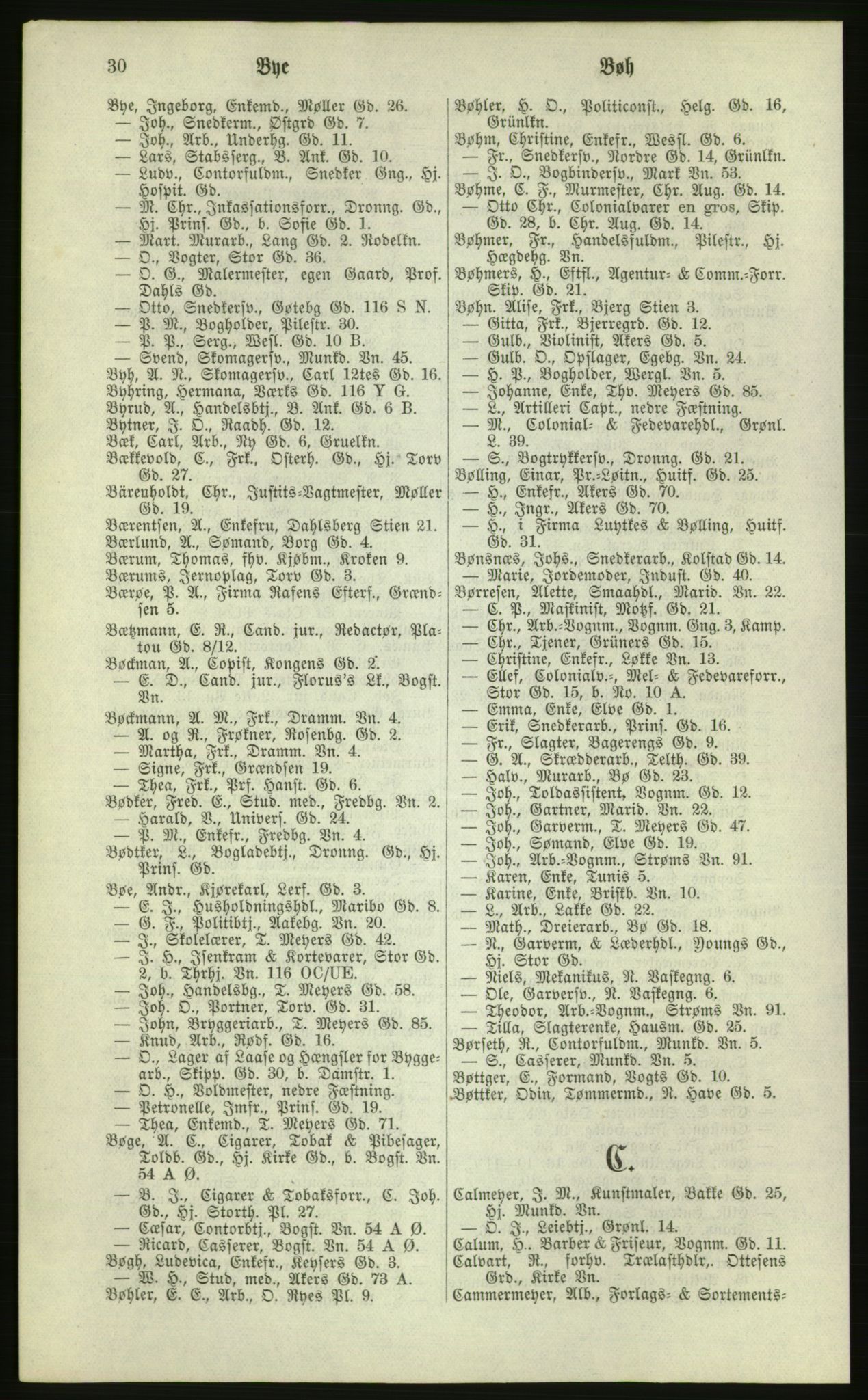 Kristiania/Oslo adressebok, PUBL/-, 1881, p. 30