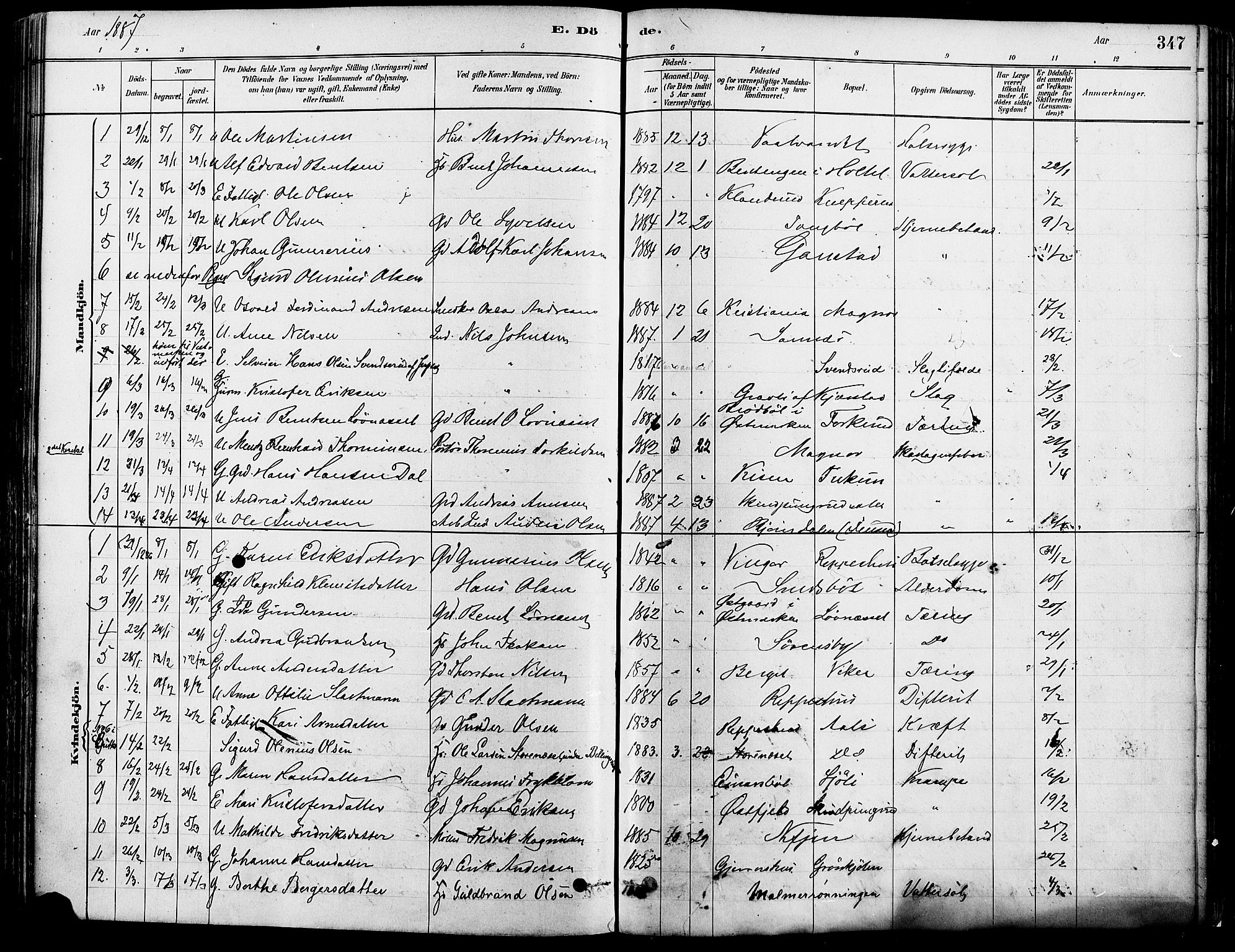 Eidskog prestekontor, SAH/PREST-026/H/Ha/Haa/L0003: Parish register (official) no. 3, 1879-1892, p. 347