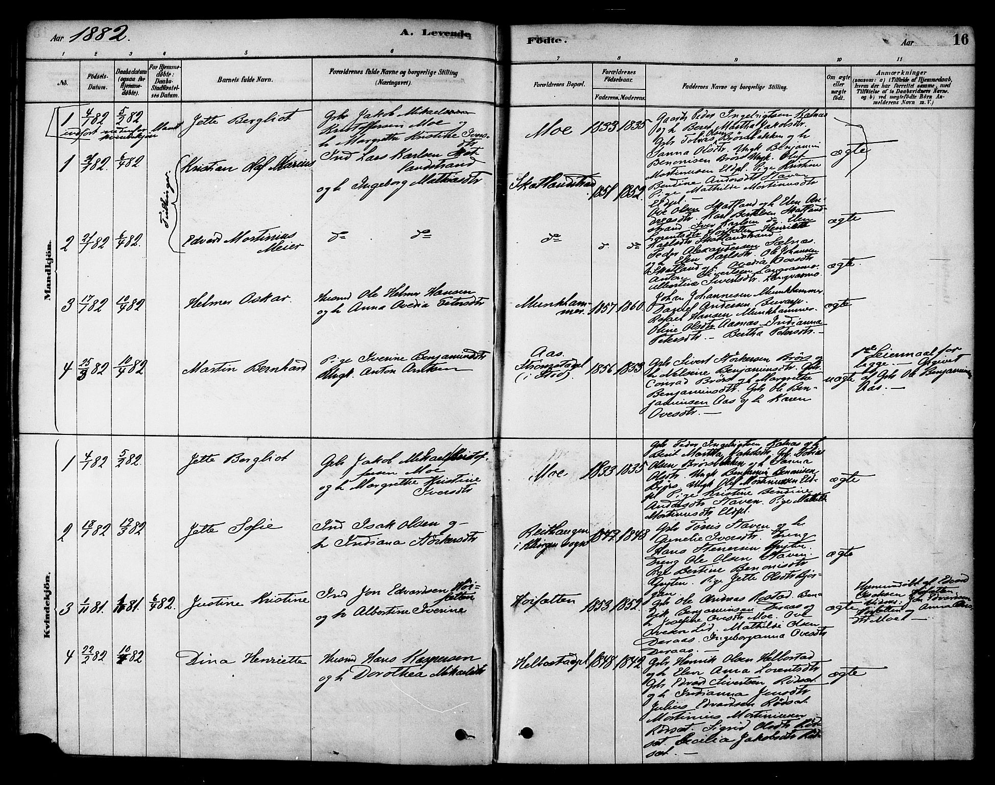 Ministerialprotokoller, klokkerbøker og fødselsregistre - Nord-Trøndelag, AV/SAT-A-1458/742/L0408: Parish register (official) no. 742A01, 1878-1890, p. 16