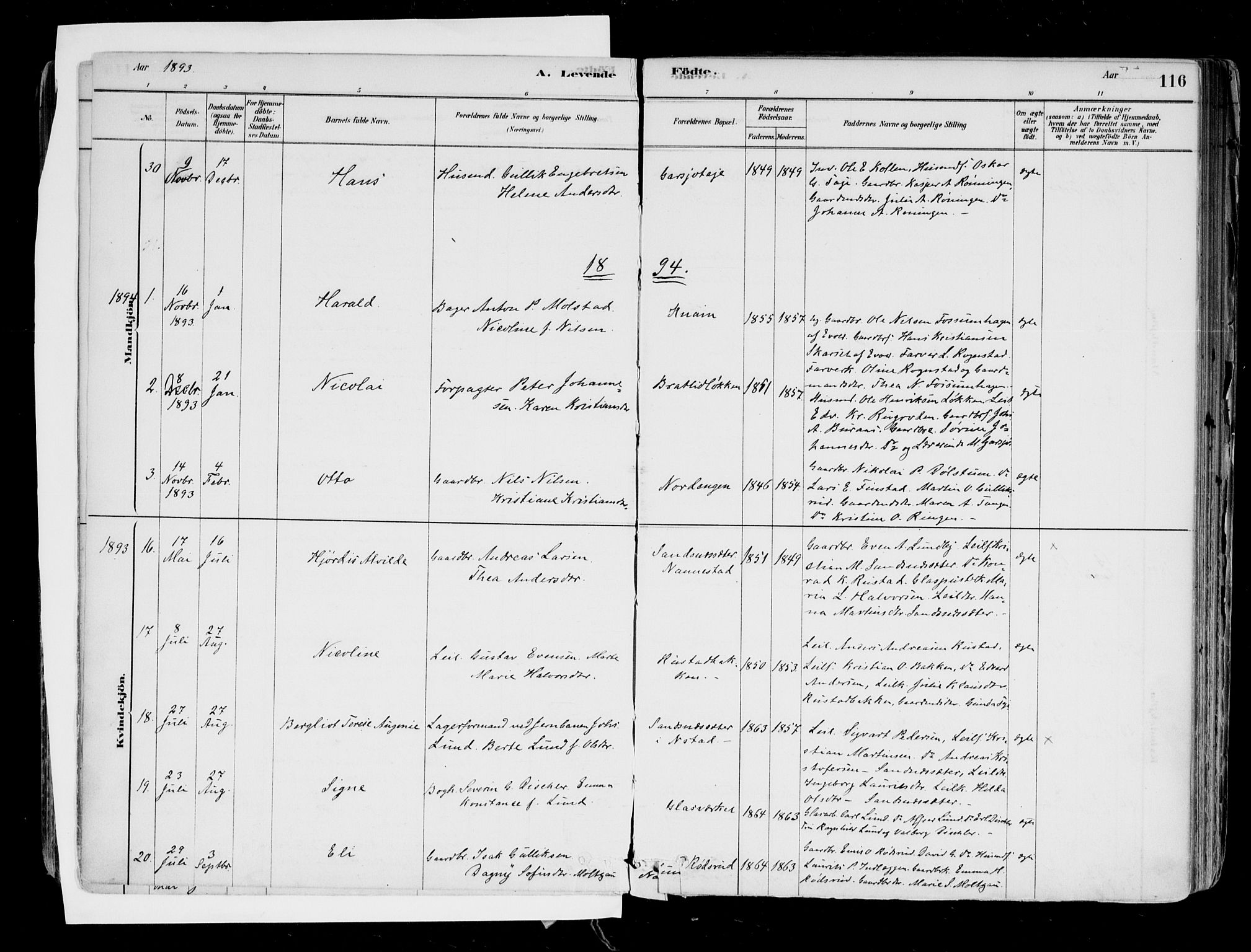 Hurdal prestekontor Kirkebøker, AV/SAO-A-10889/F/Fa/L0007: Parish register (official) no. I 7, 1878-1906, p. 116